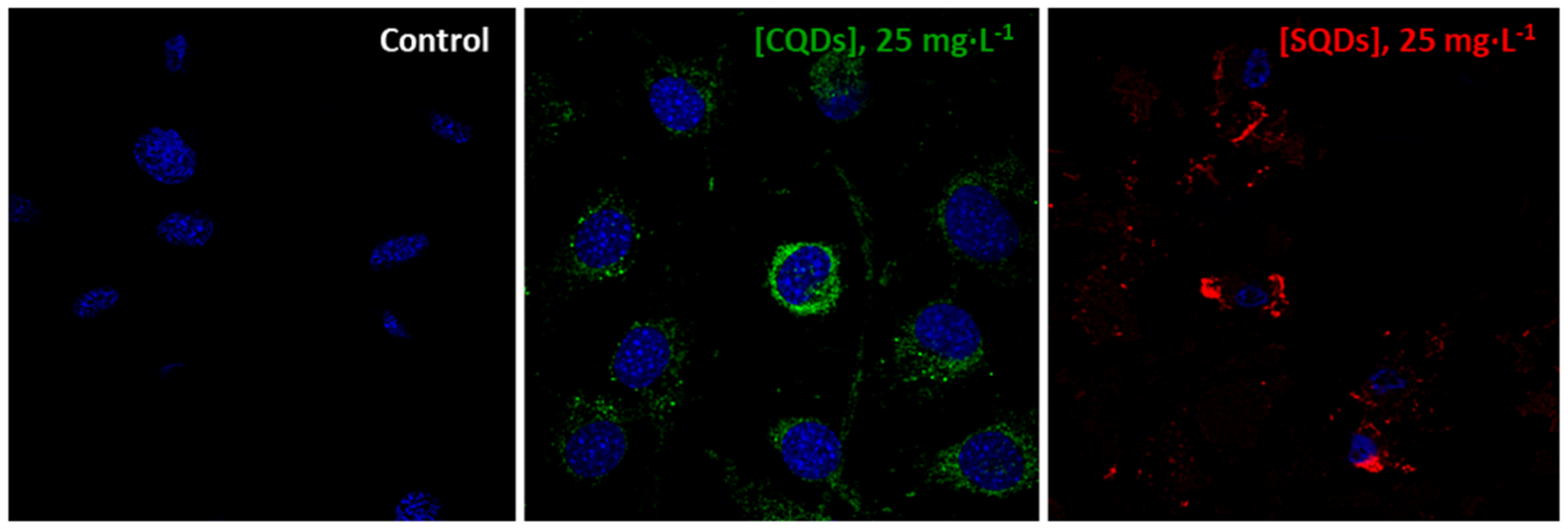 Applsci 10 08845 g003 Applsci 10 08845 g003