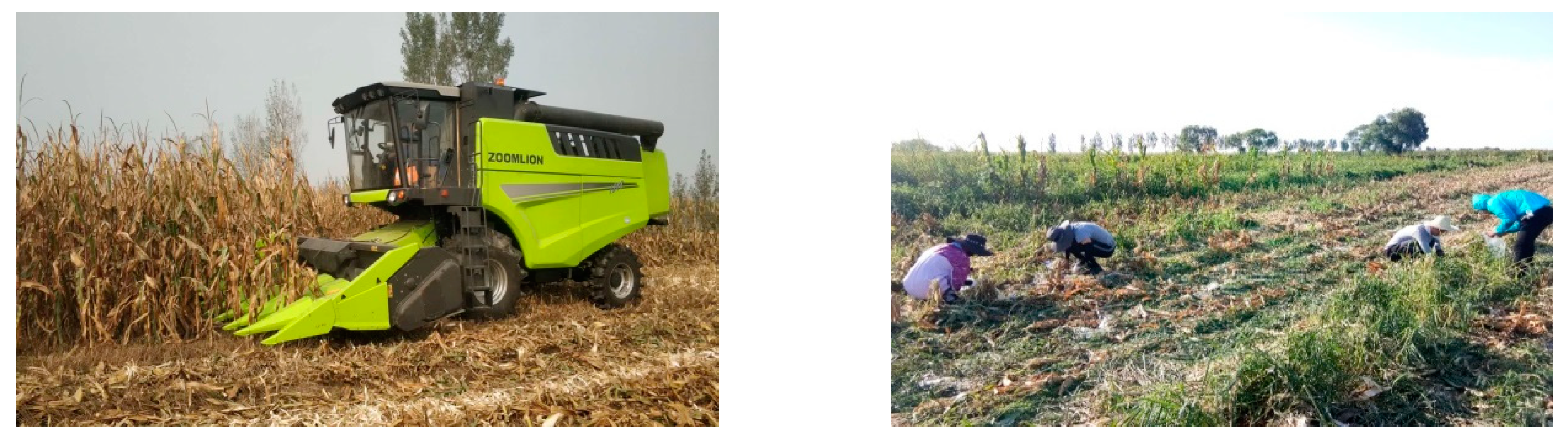 Applsci 10 08888 g008