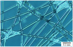 Applsci 10 09000 i001