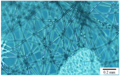 Applsci 10 09000 i002