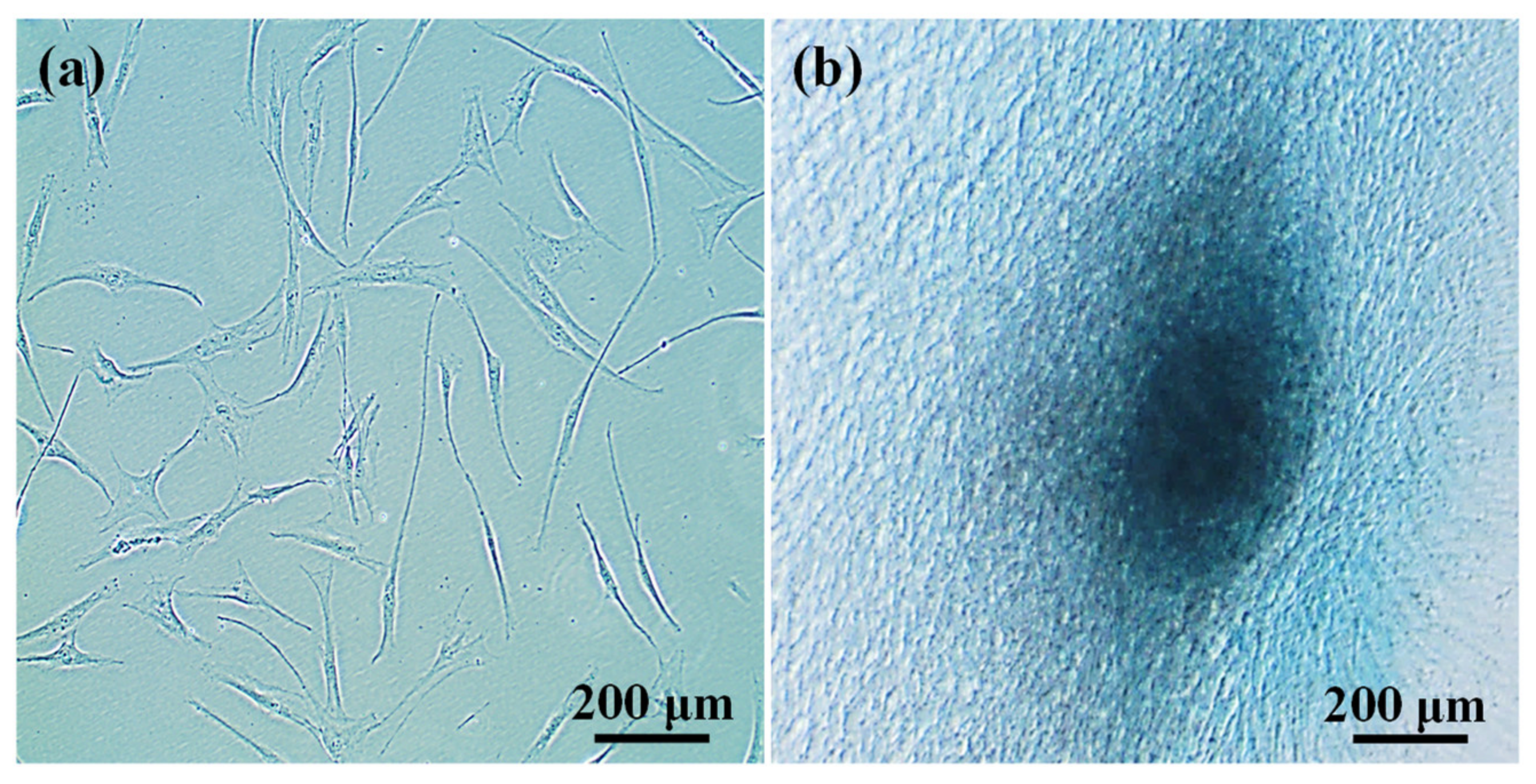 Applsci 10 09035 g004 Applsci 10 09035 g004