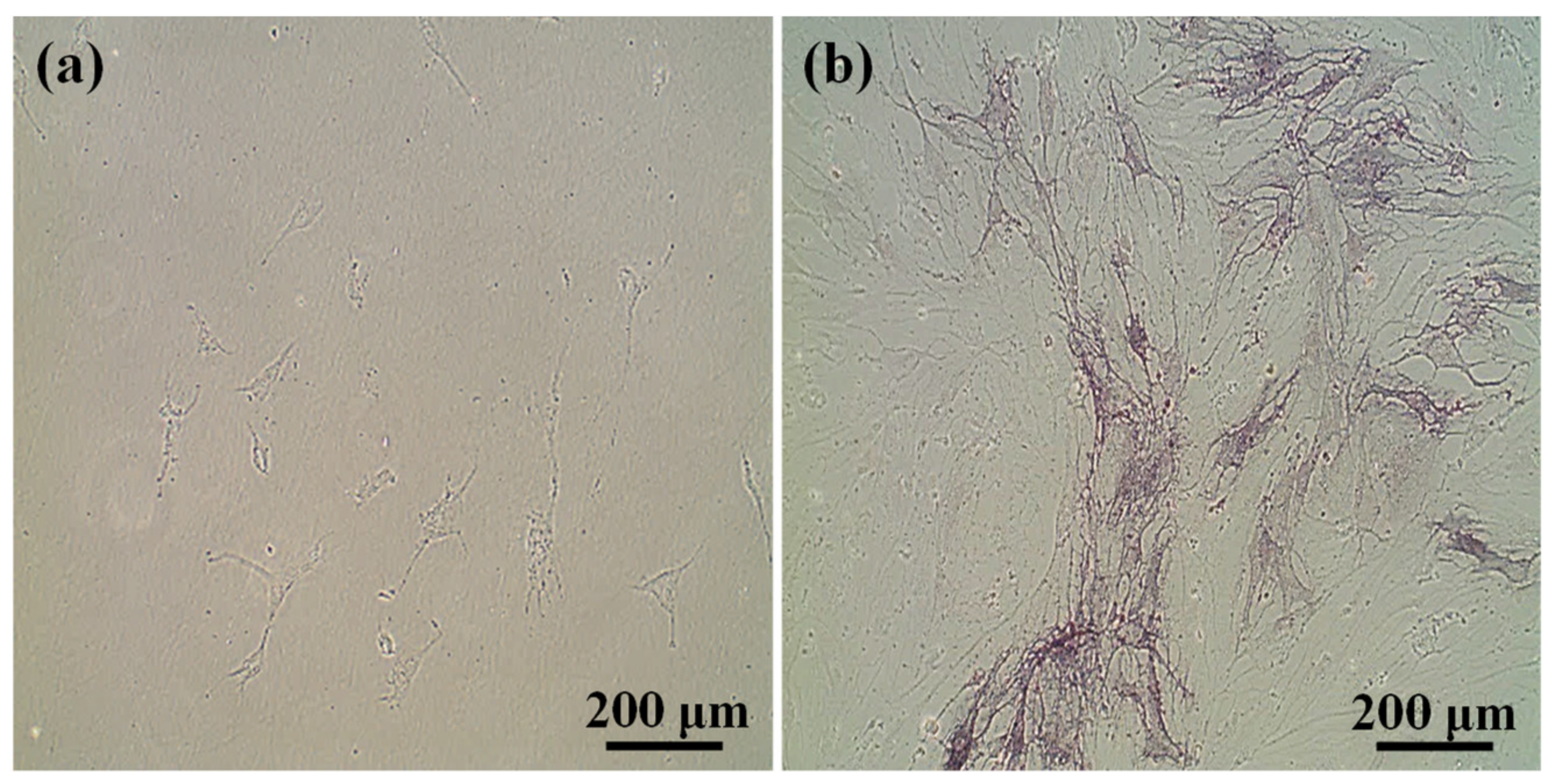 Applsci 10 09035 g005 Applsci 10 09035 g005