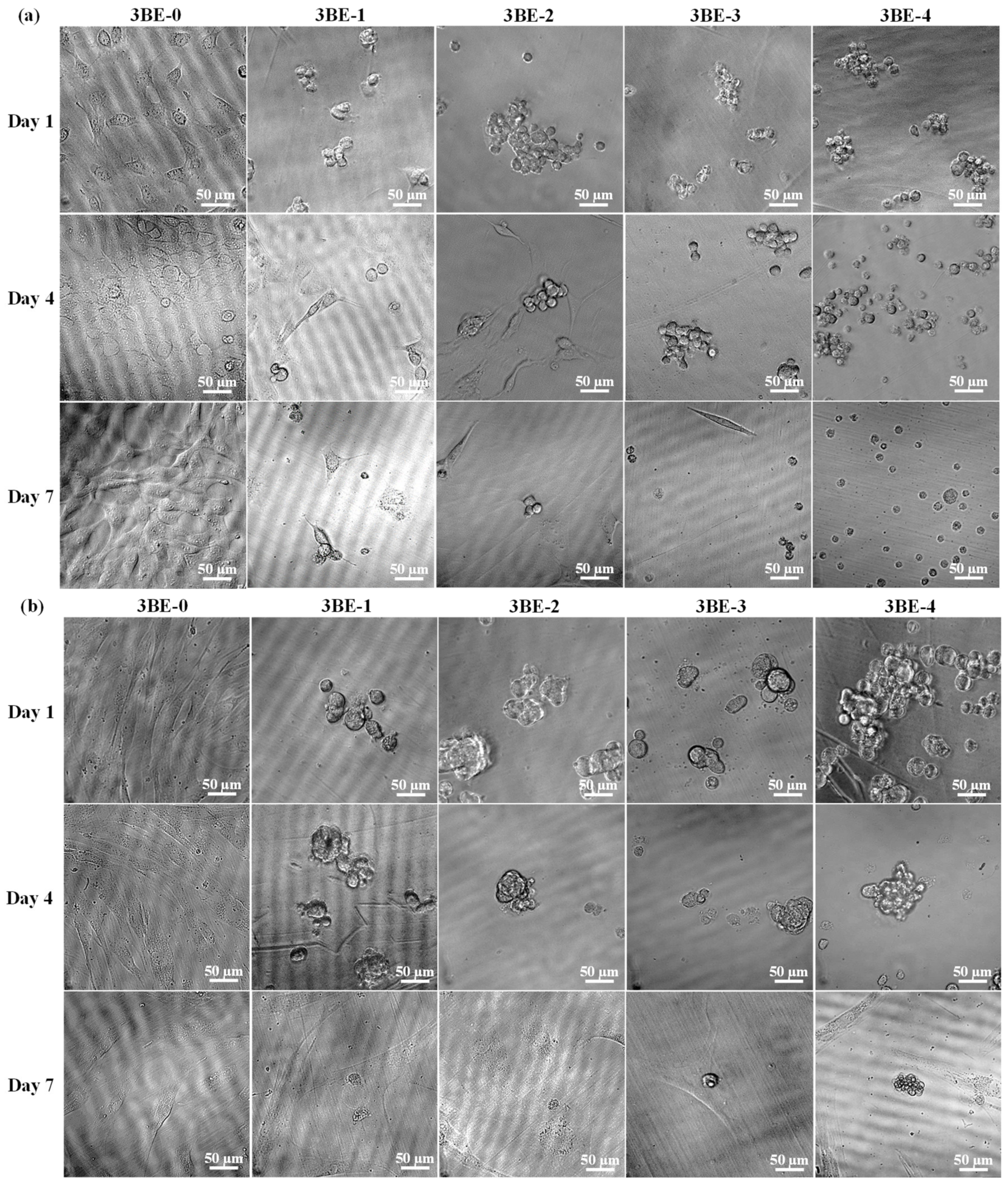 Applsci 10 09035 g006 Applsci 10 09035 g006