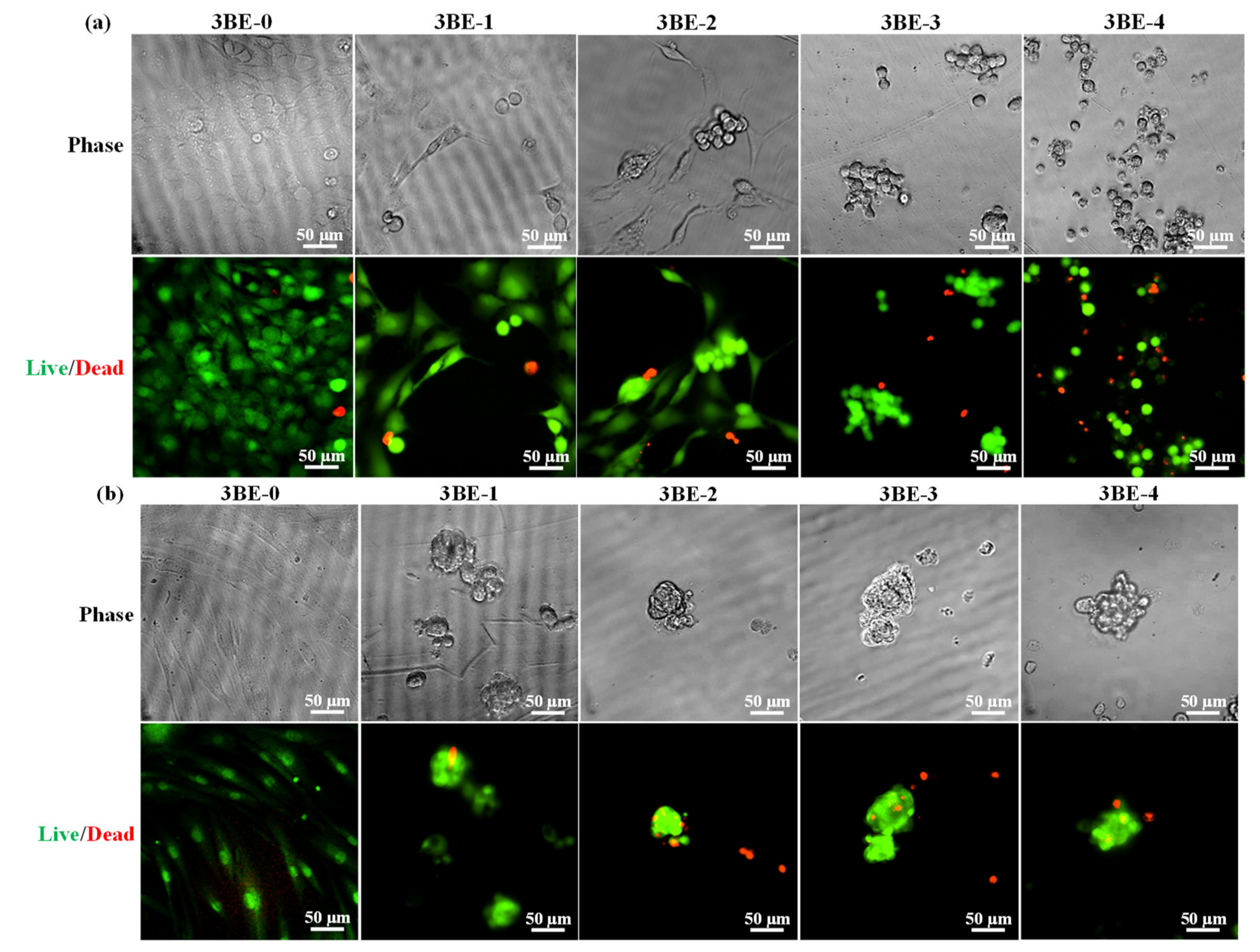 Applsci 10 09035 g007 Applsci 10 09035 g007