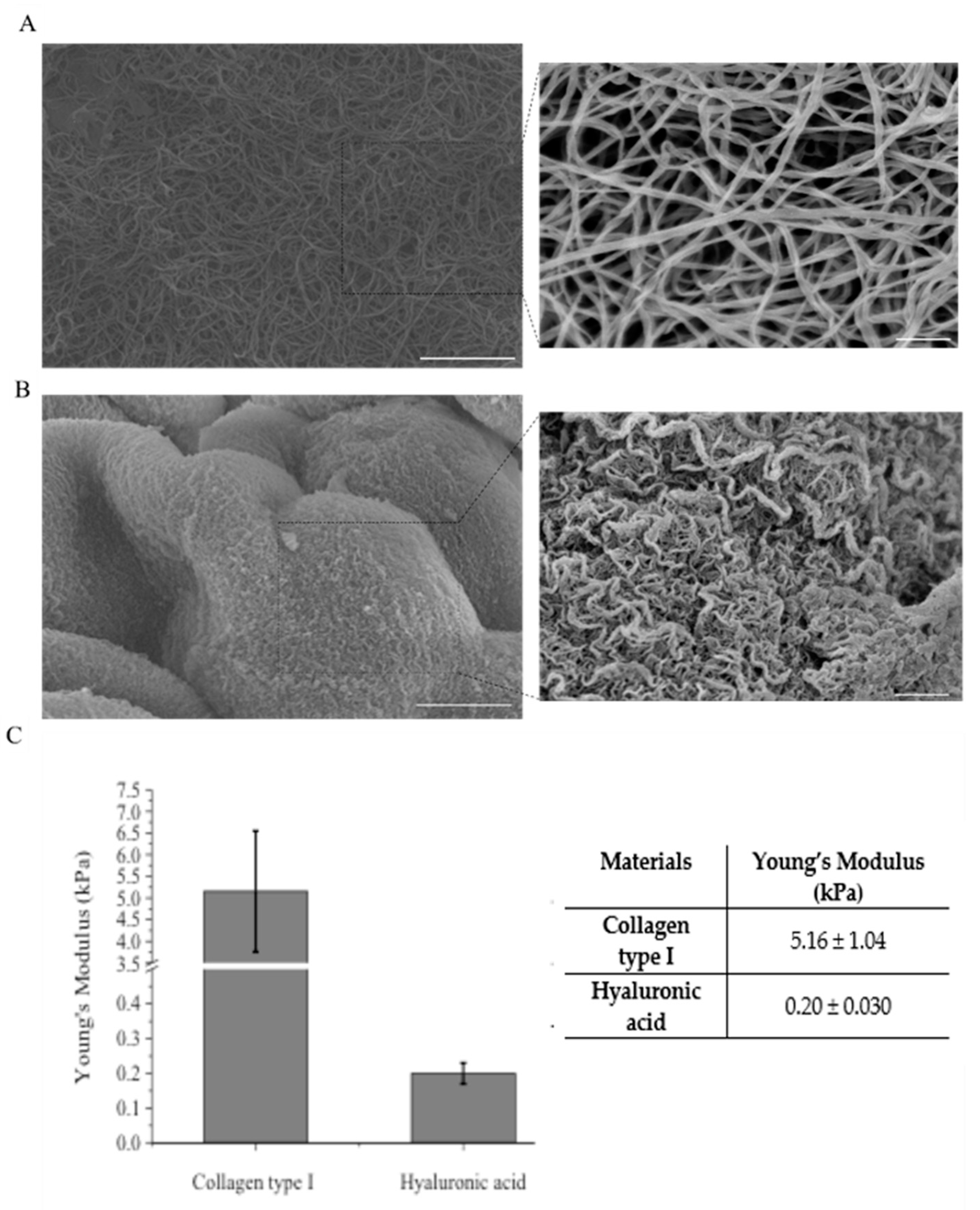 Applsci 10 09076 g004