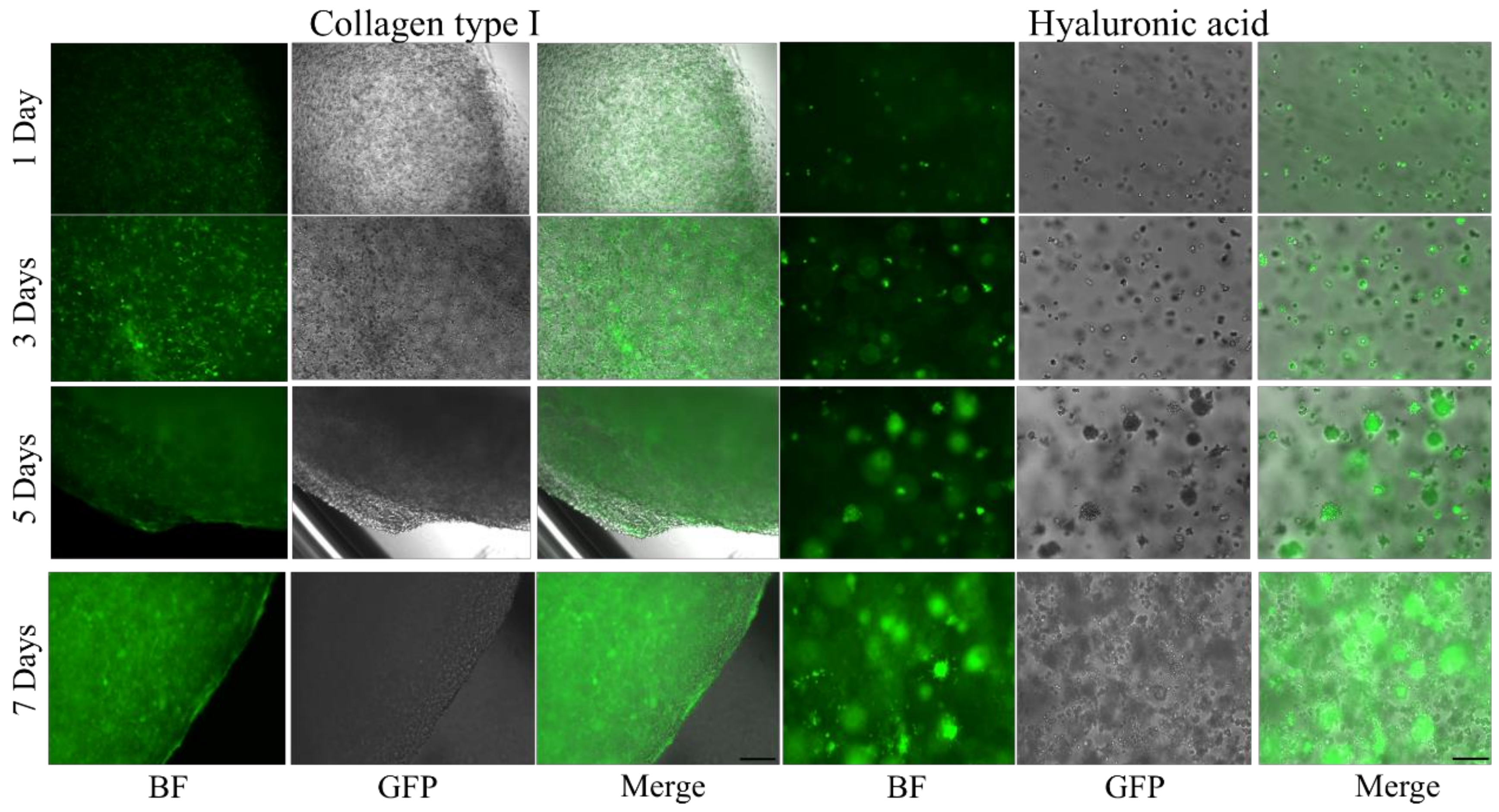 Applsci 10 09076 g006
