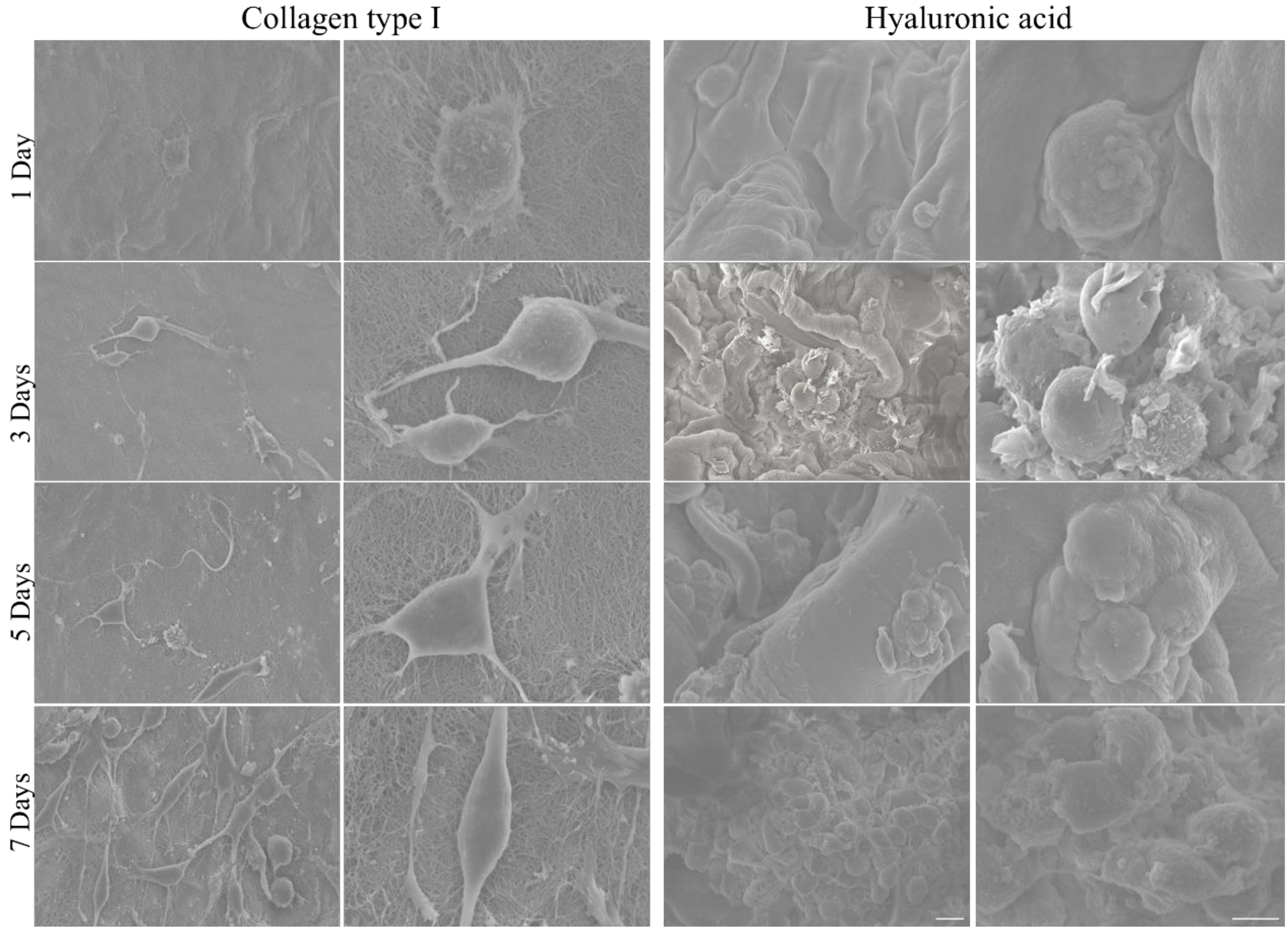 Applsci 10 09076 g008