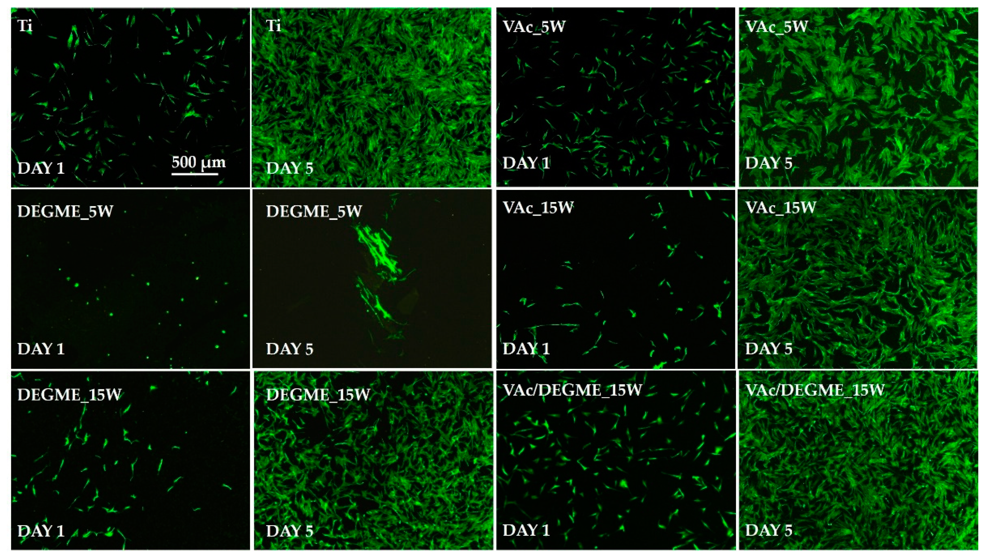 Applsci 10 09101 g005 Applsci 10 09101 g005