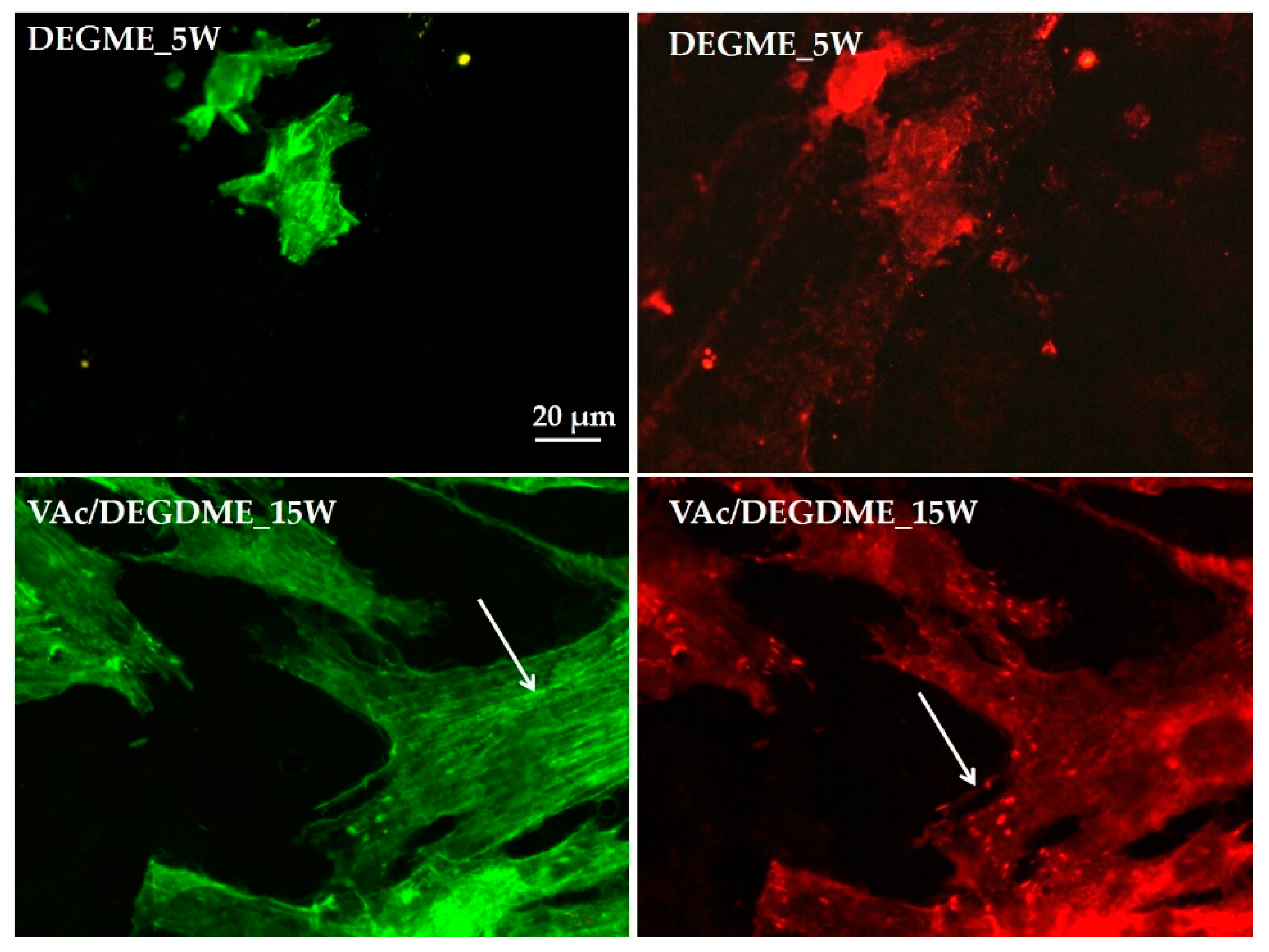 Applsci 10 09101 g006 Applsci 10 09101 g006