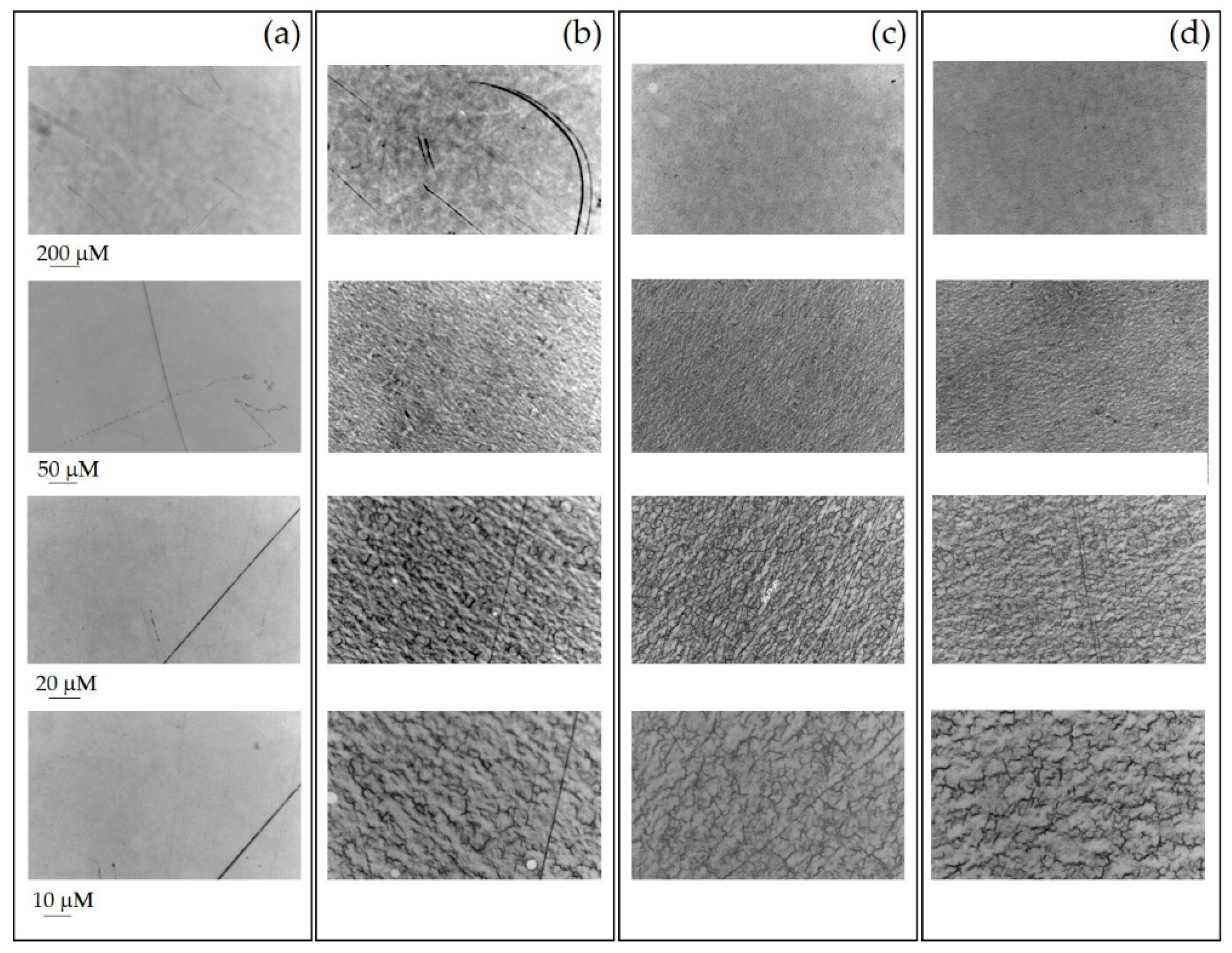 Applsci 10 09101 g007 Applsci 10 09101 g007