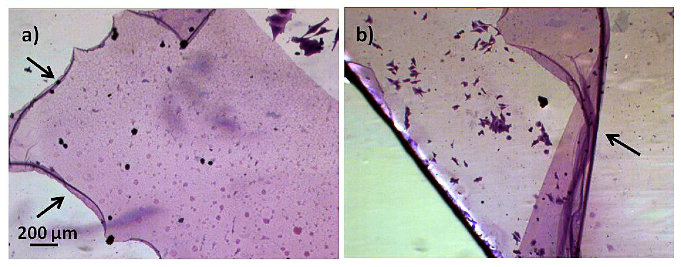 Applsci 10 09101 g009 Applsci 10 09101 g009