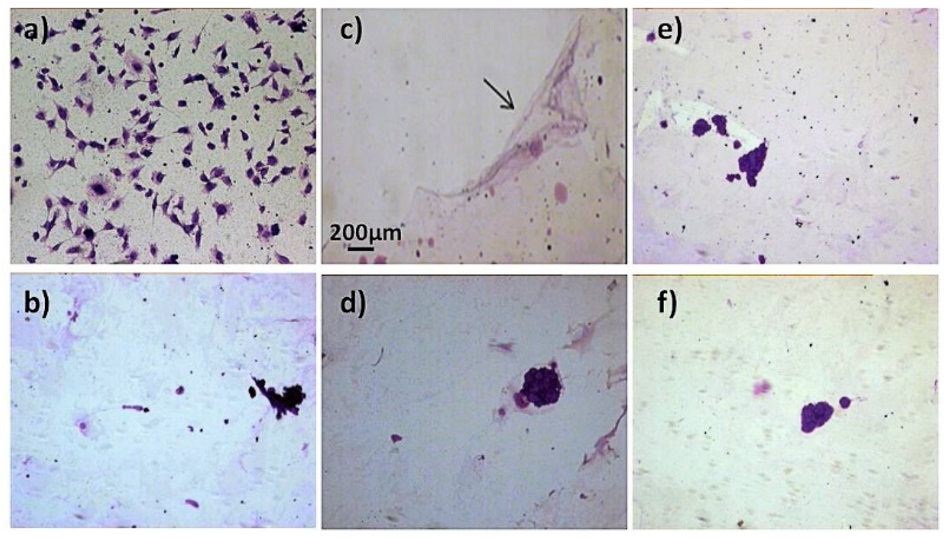 Applsci 10 09101 g013 Applsci 10 09101 g013