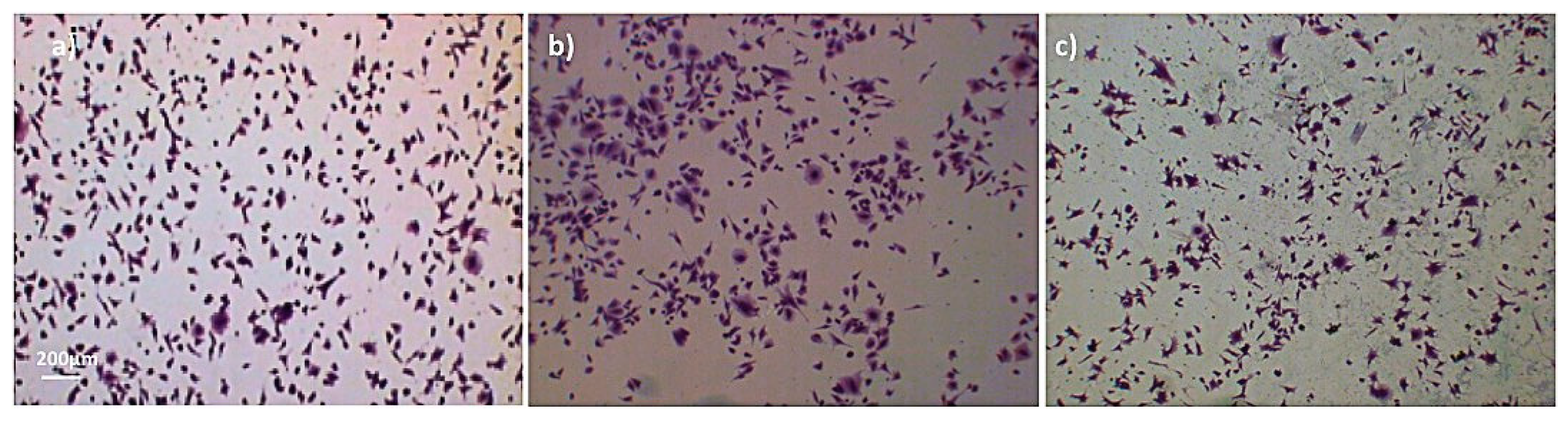 Applsci 10 09101 g014 Applsci 10 09101 g014