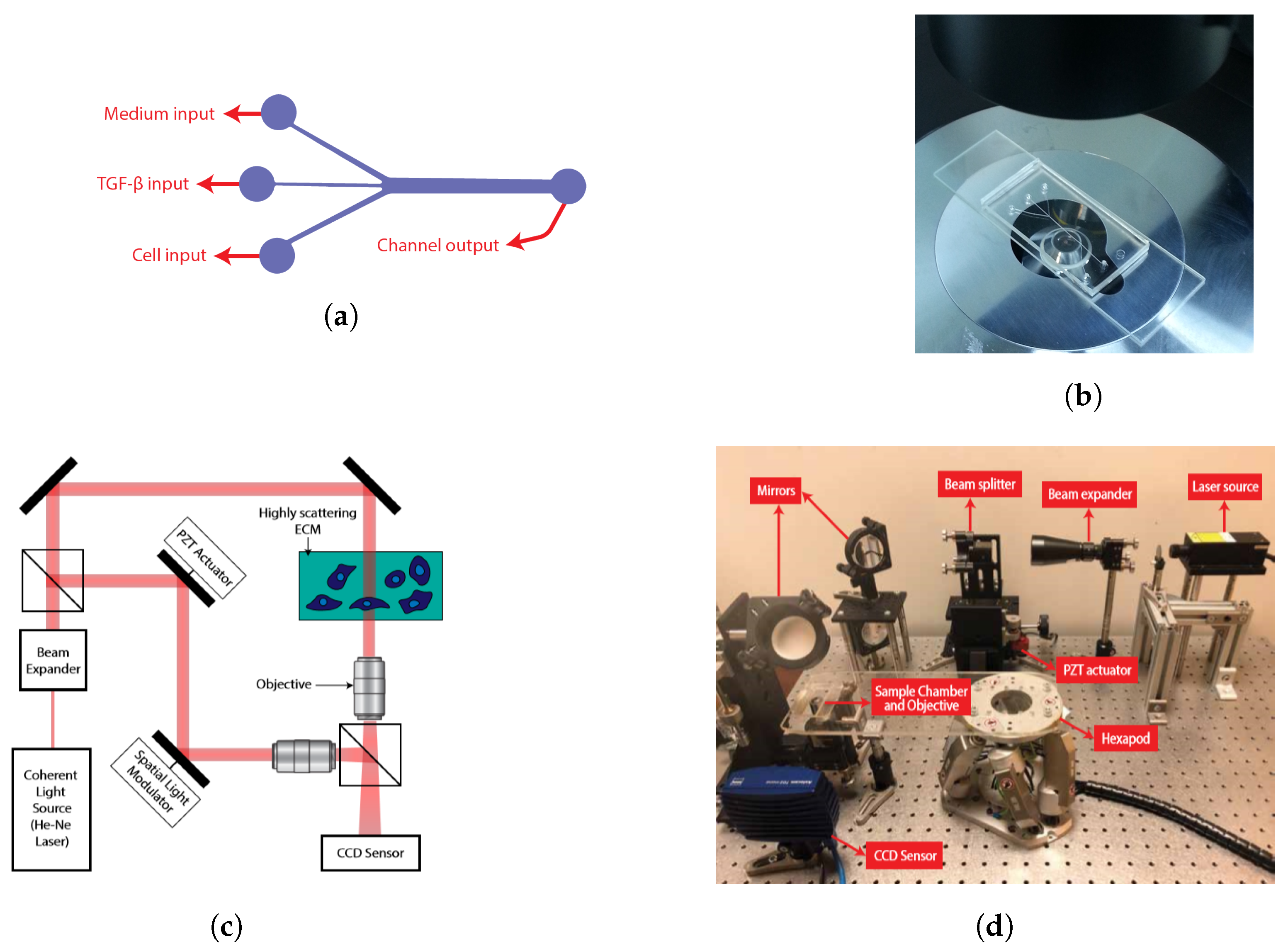 Applsci 10 09107 g001