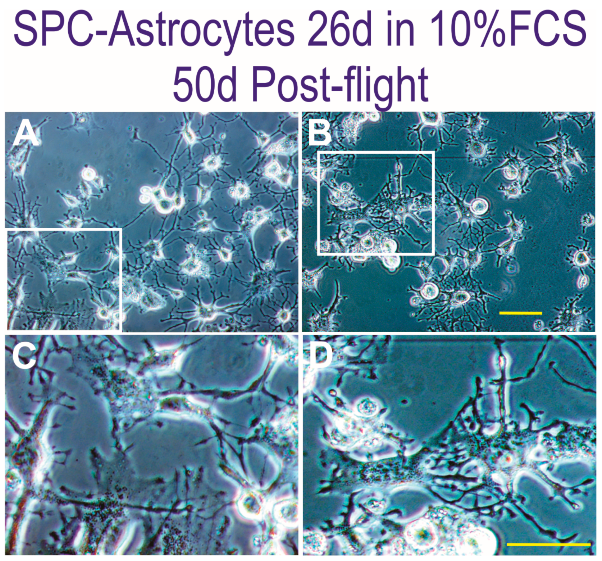 Applsci 11 00041 g003