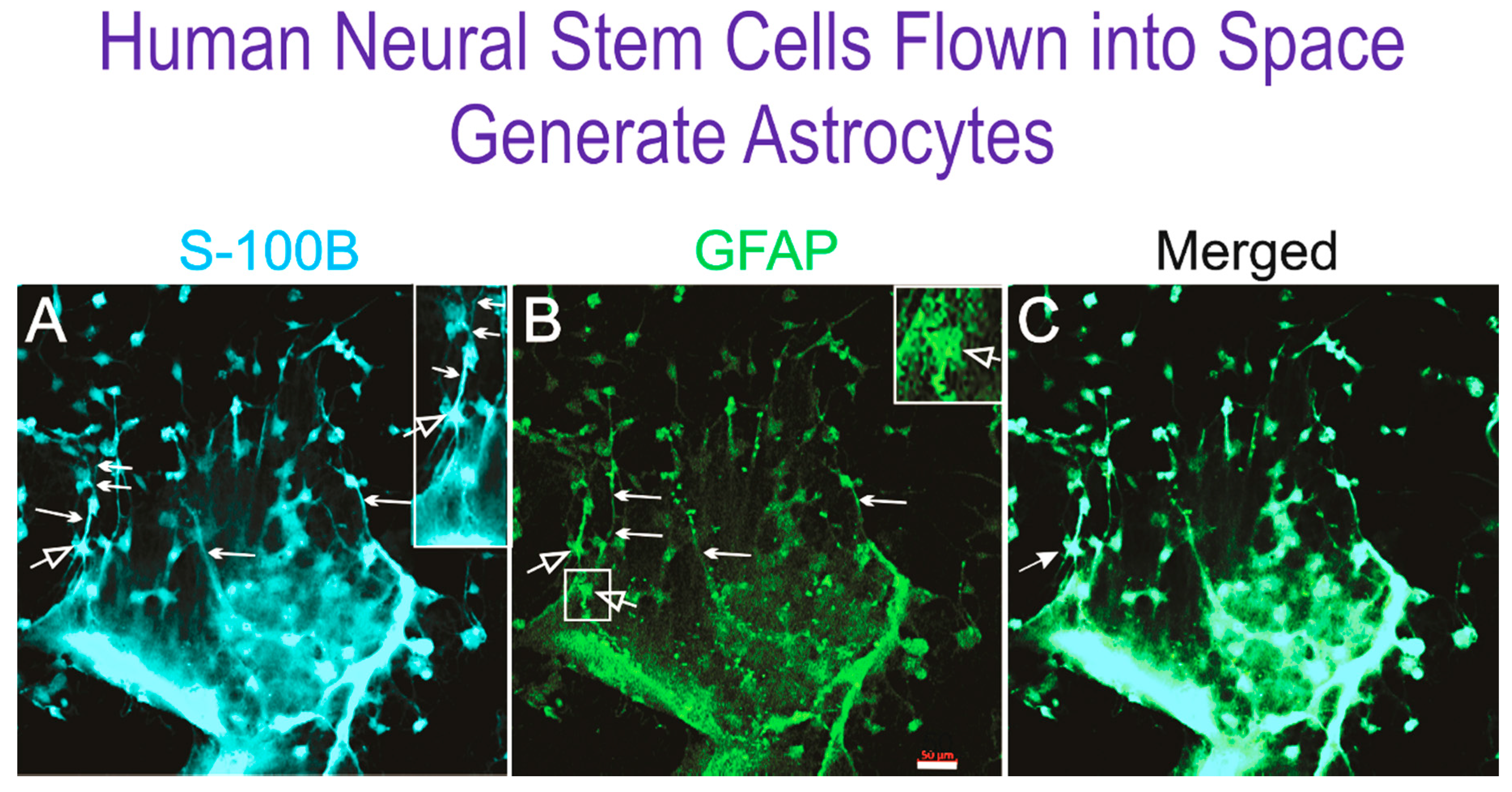Applsci 11 00041 g004