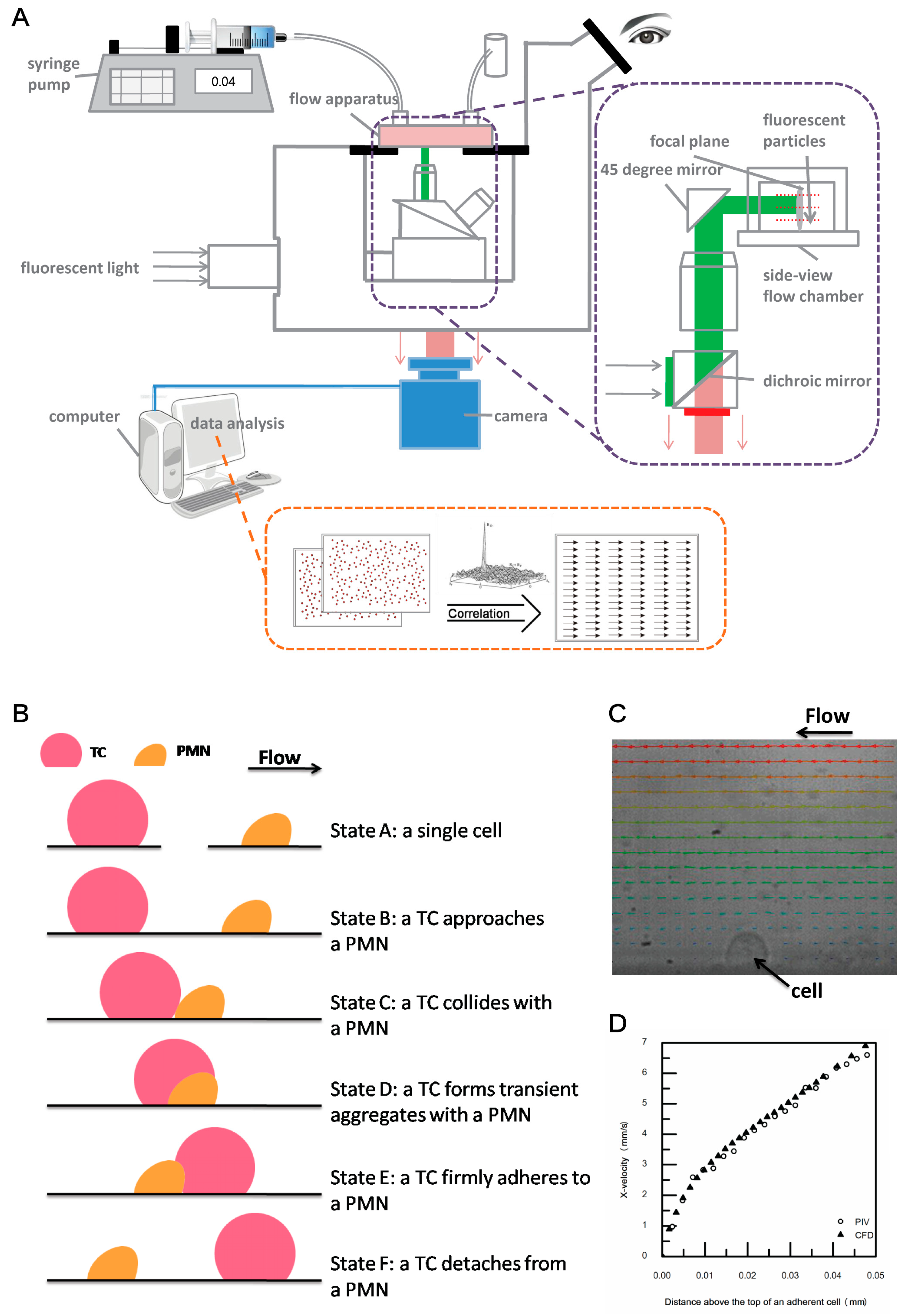 Applsci 11 00079 g001