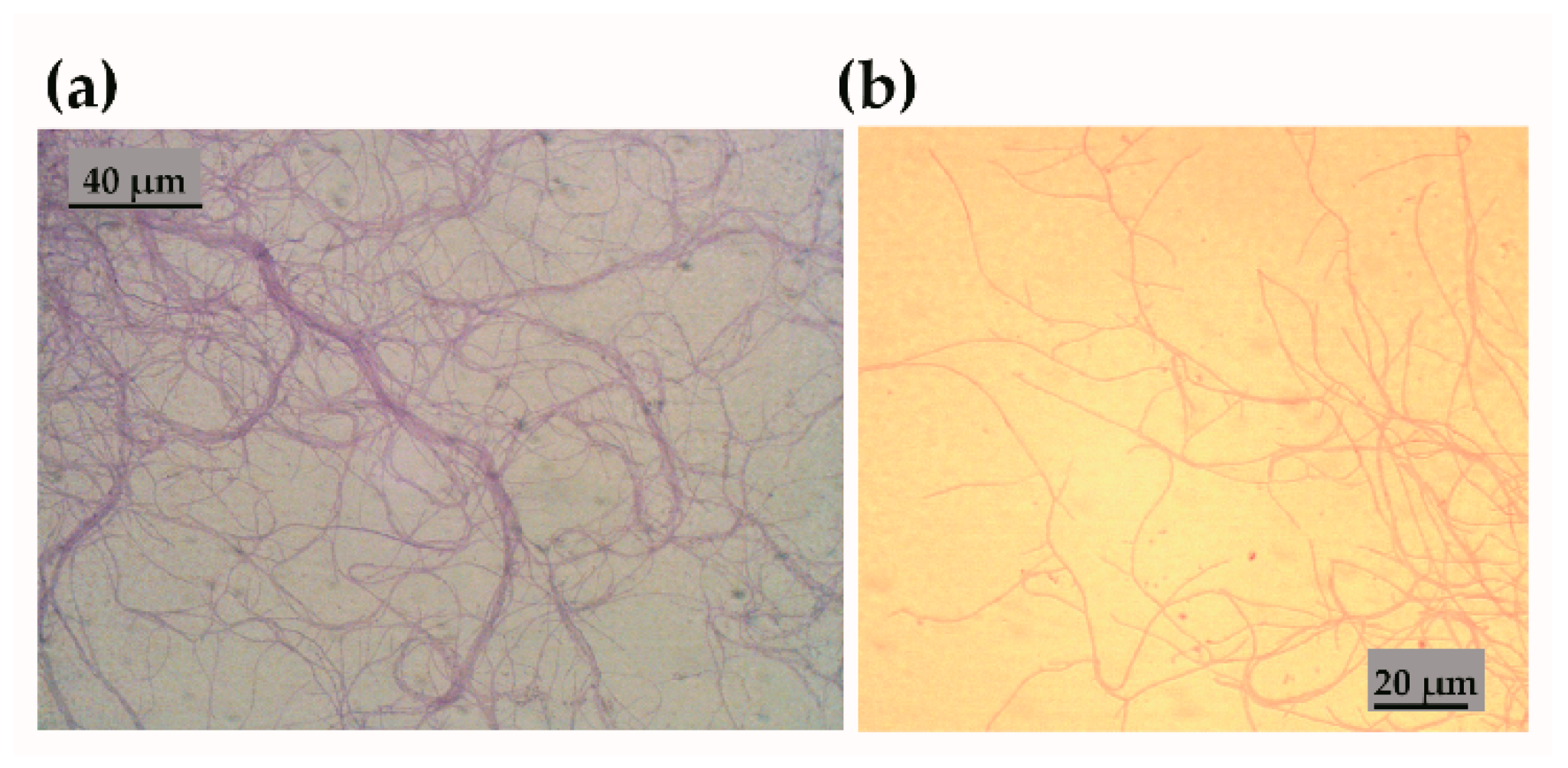 Applsci 11 00173 g002