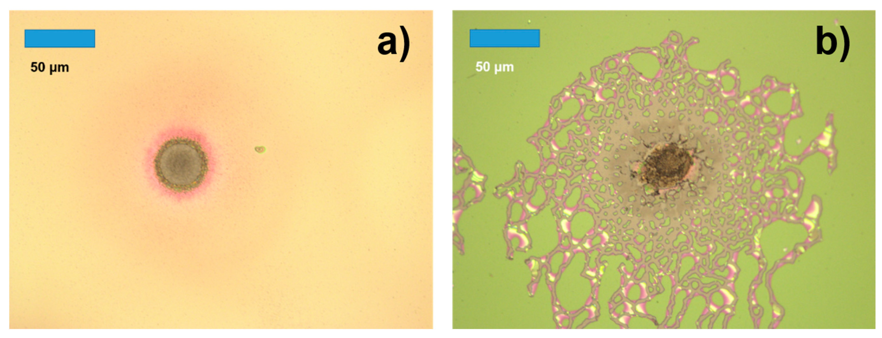 Applsci 11 00189 g005 Applsci 11 00189 g005