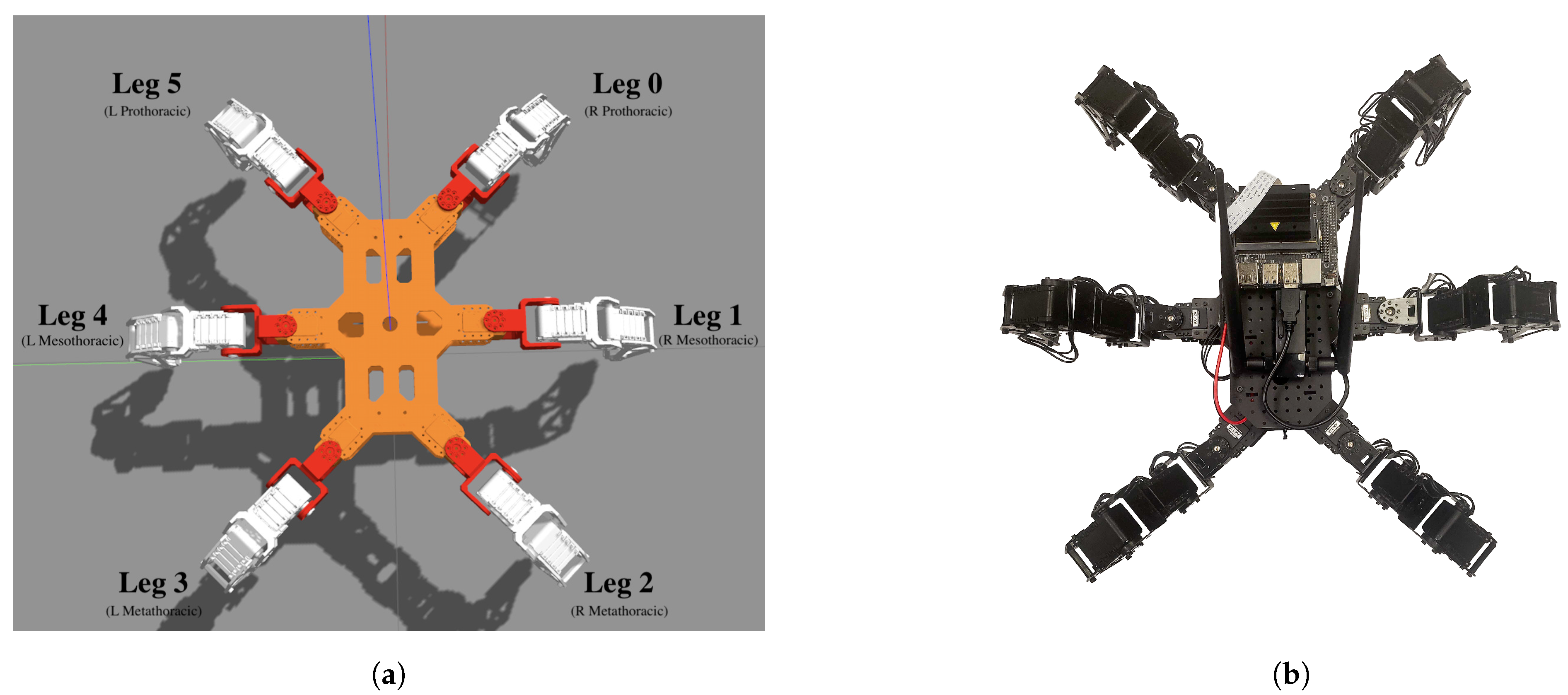 Applied Sciences | Free Full-Text | Telelocomotion—Remotely Operated Legged  Robots | HTML