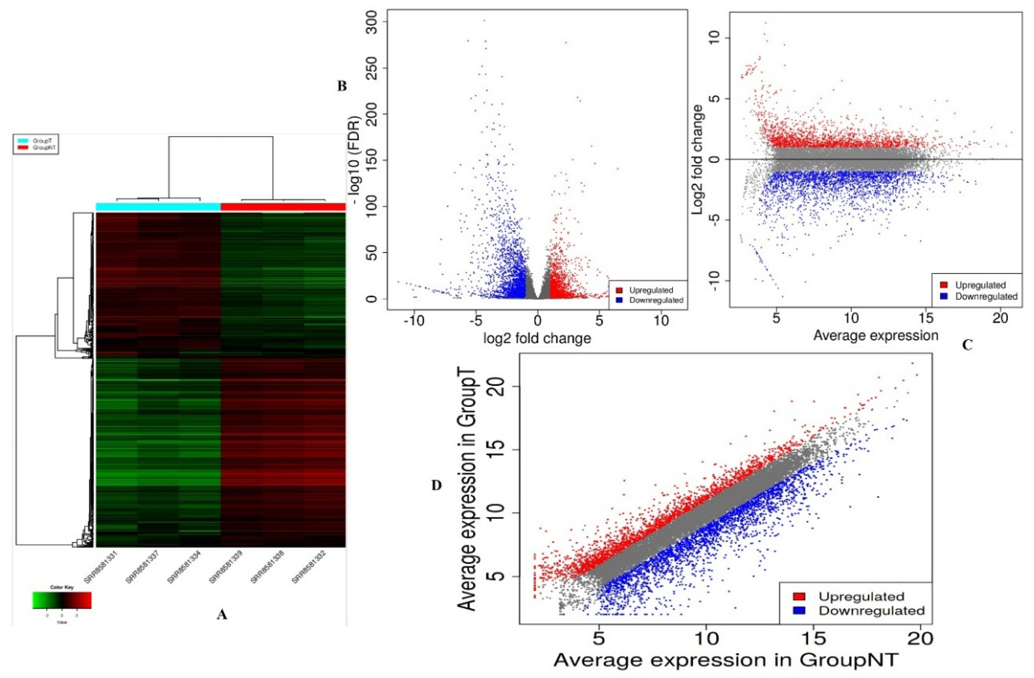 Applsci 11 00226 g002
