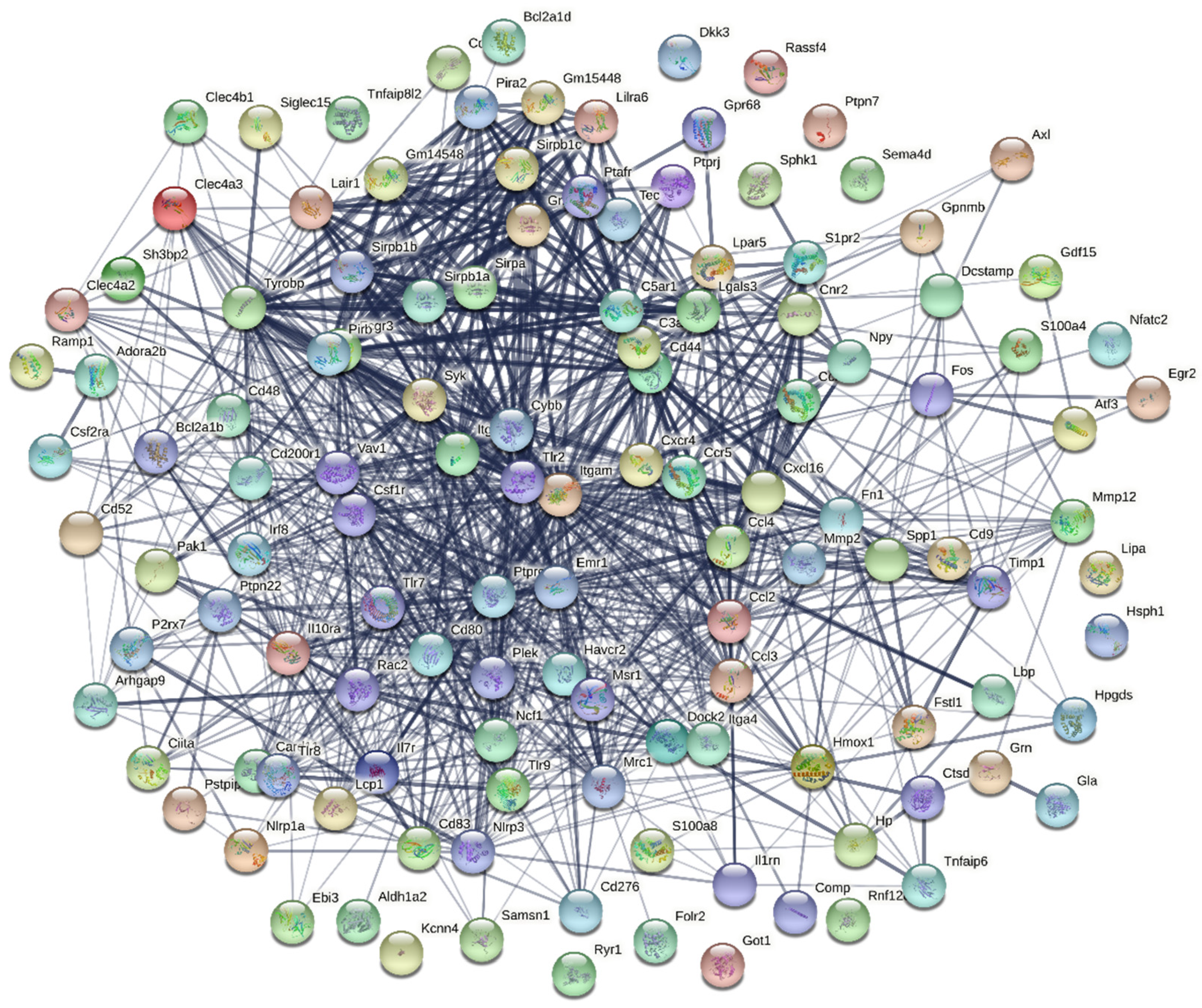 Applsci 11 00226 g006