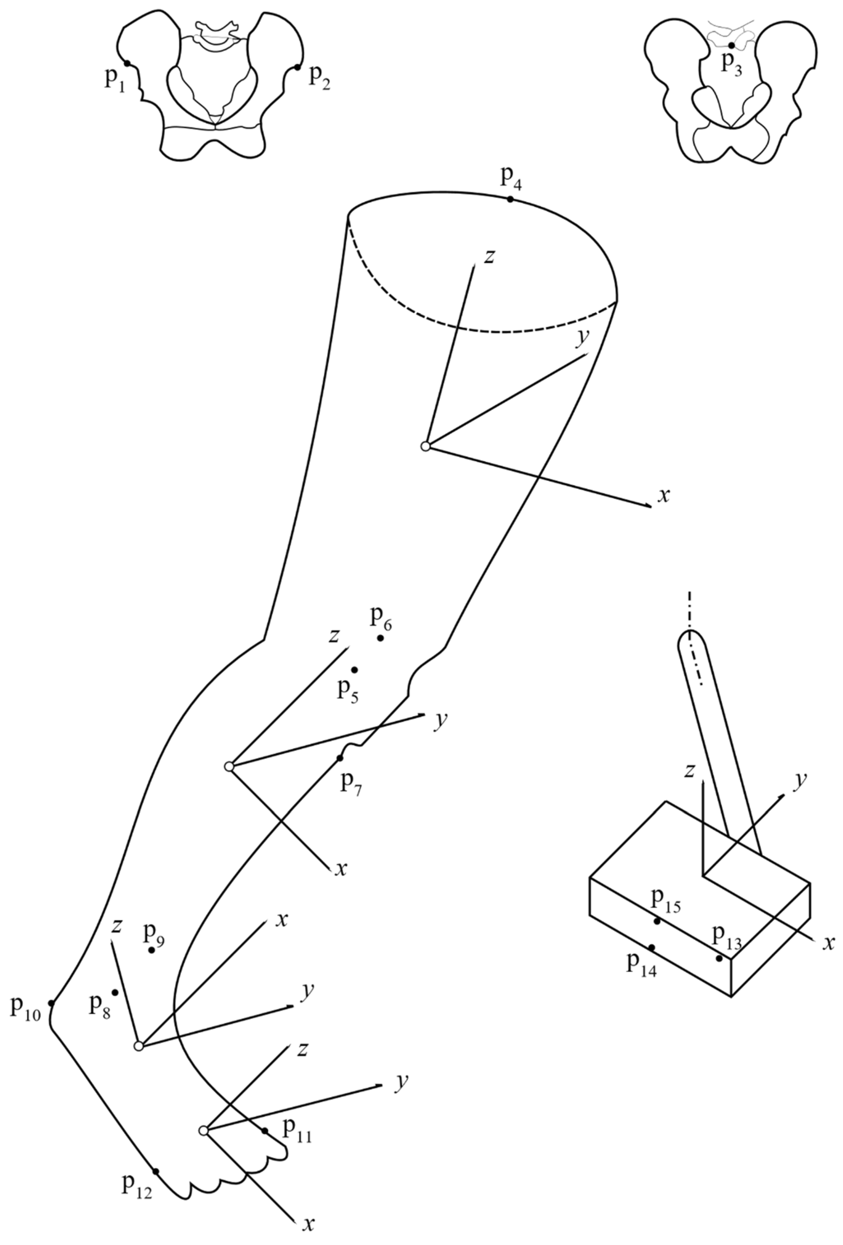 Applied Sciences | Free Full-Text | 3D Knee Loading during