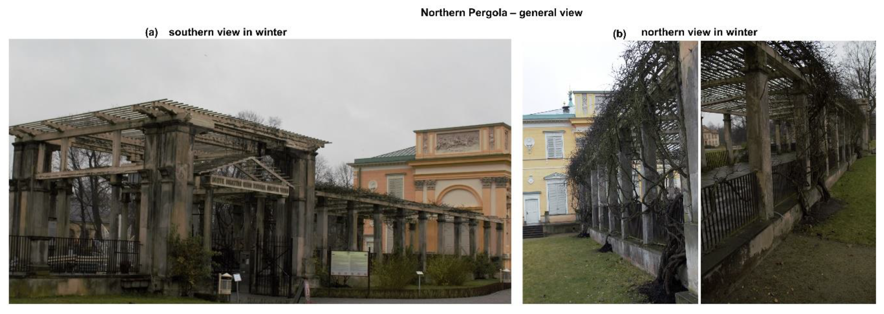 Applied Sciences | Free Full-Text | Diversity of Biodeteriorative Bacterial  and Fungal Consortia in Winter and Summer on Historical Sandstone of the  Northern Pergola, Museum of King John III's Palace at Wilanow,