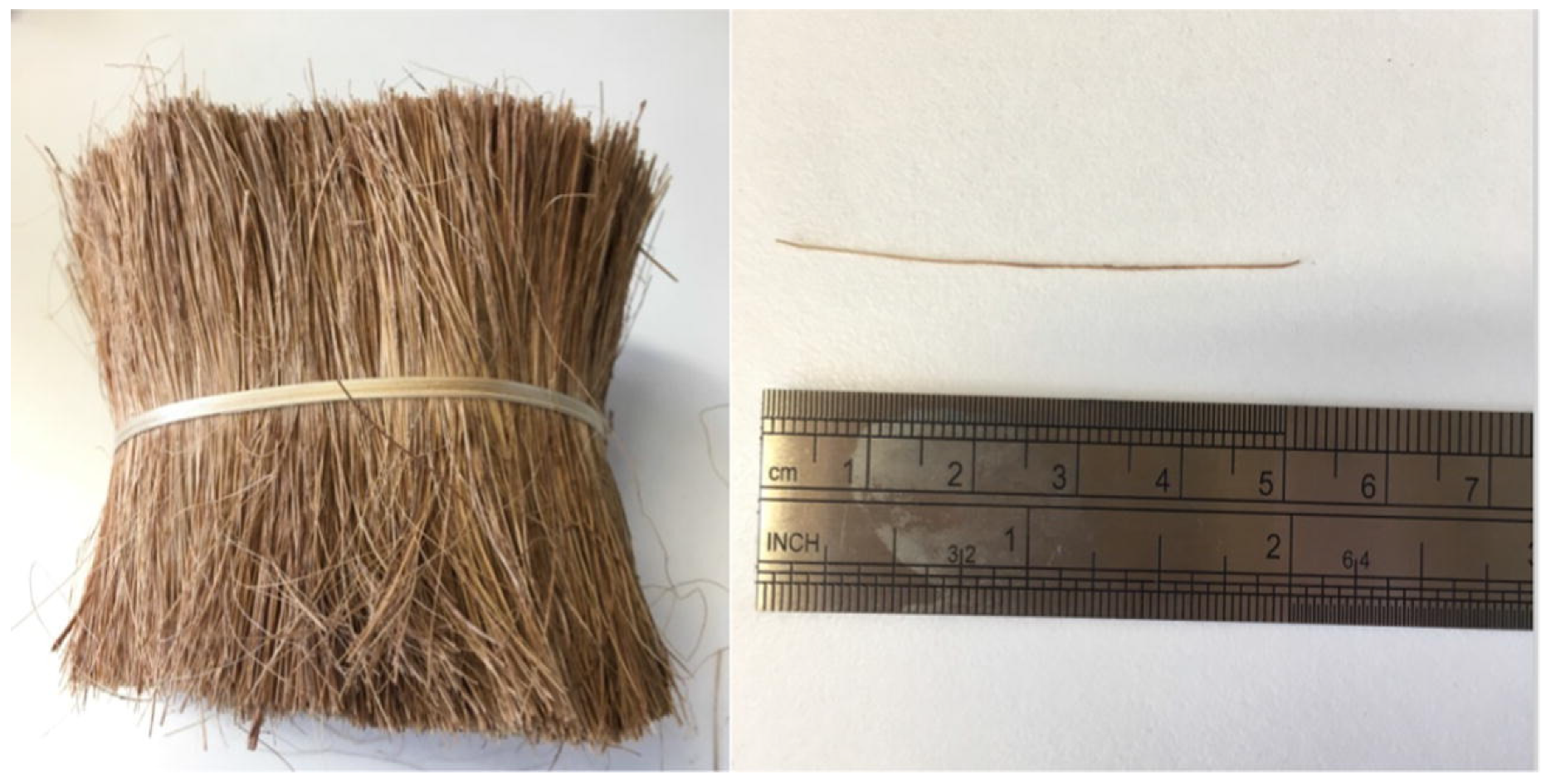 Applsci 11 00629 g011