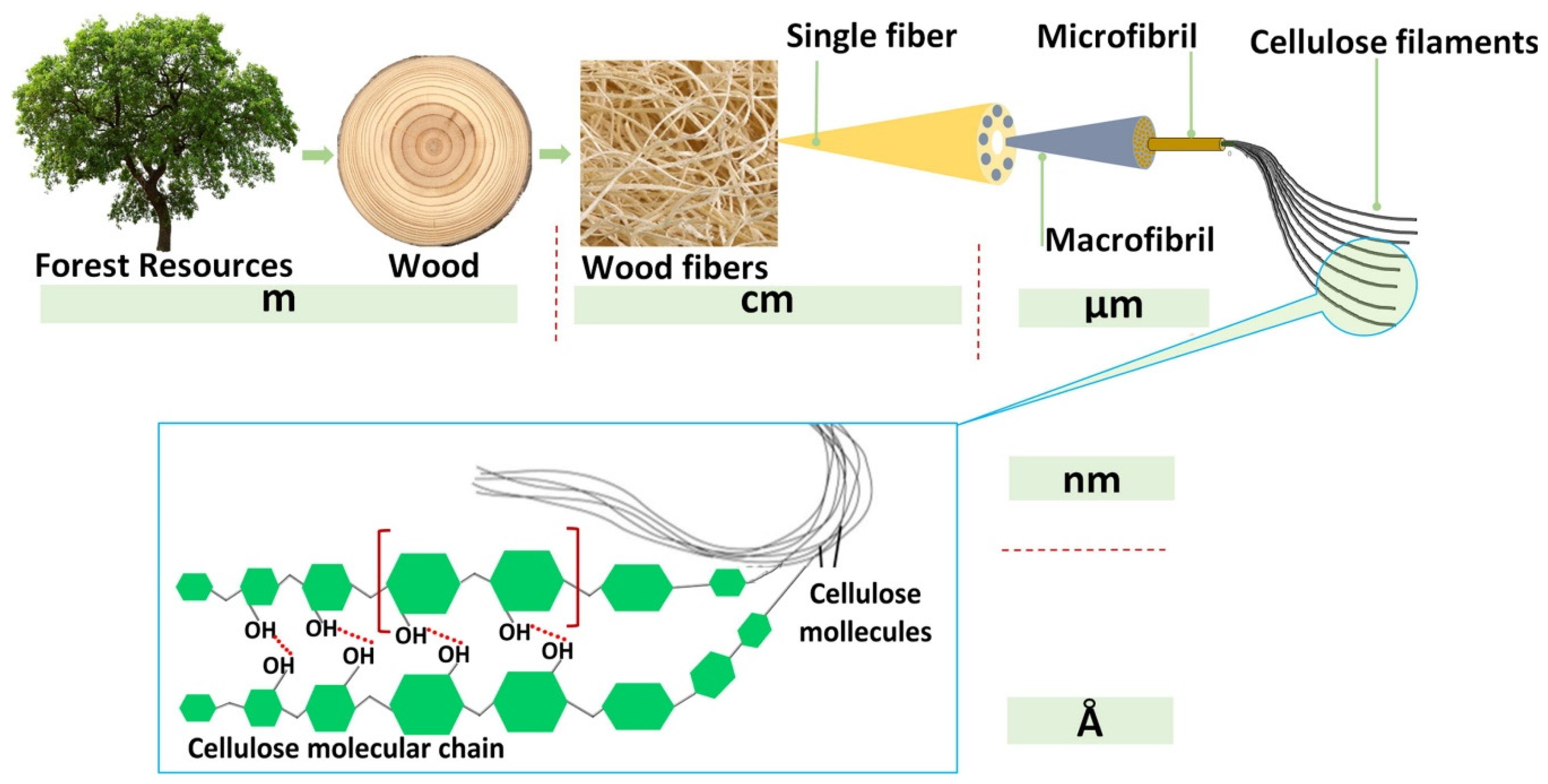 Applsci 11 00629 g012