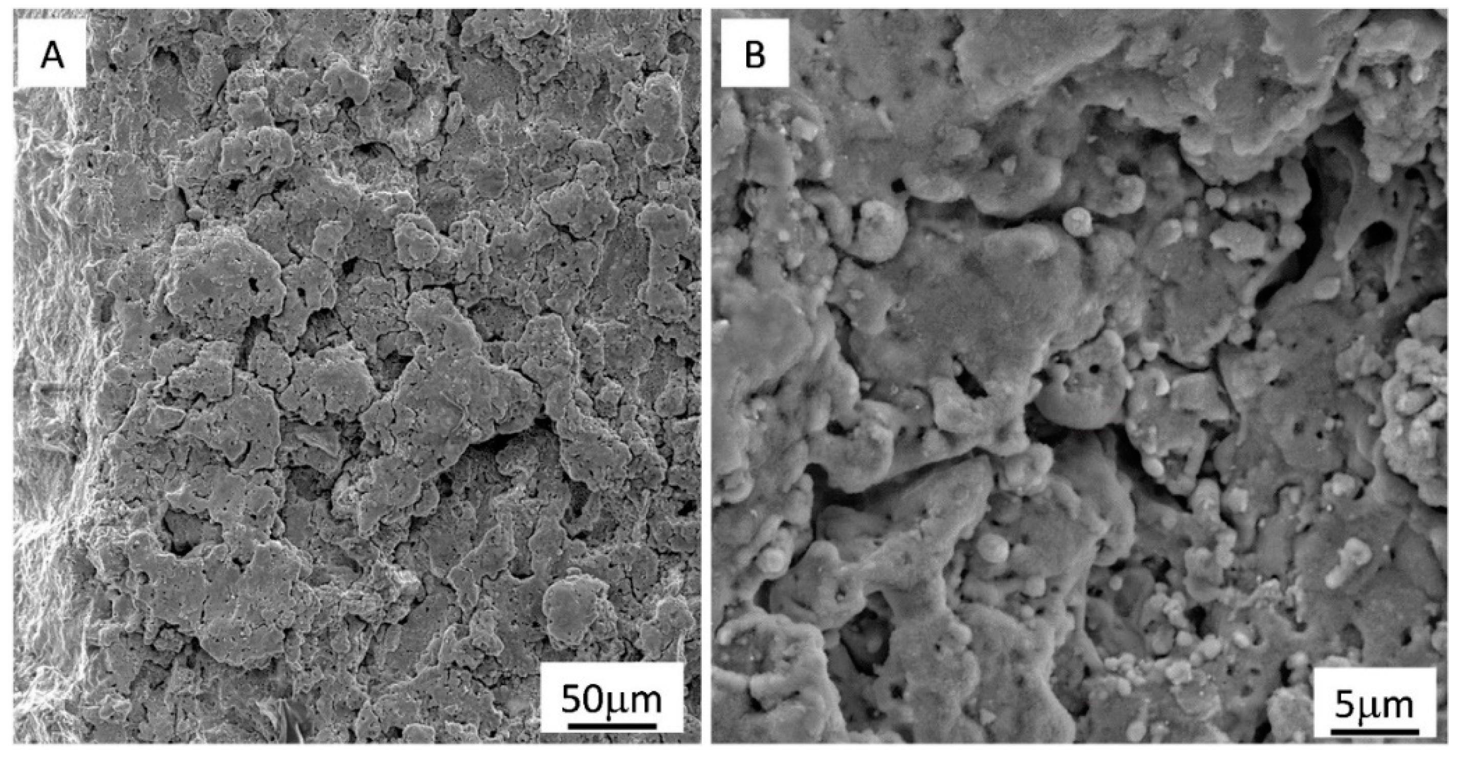 Applsci 11 00657 g007 Applsci 11 00657 g007