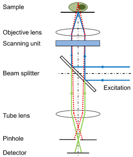 Applied Sciences | Free Full-Text | Laser Scanning versus Wide-Field ...