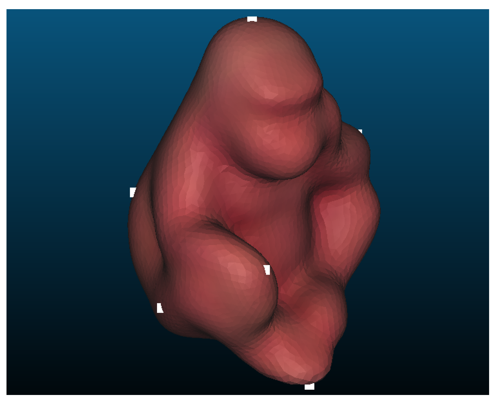 Applsci 11 00743 g002