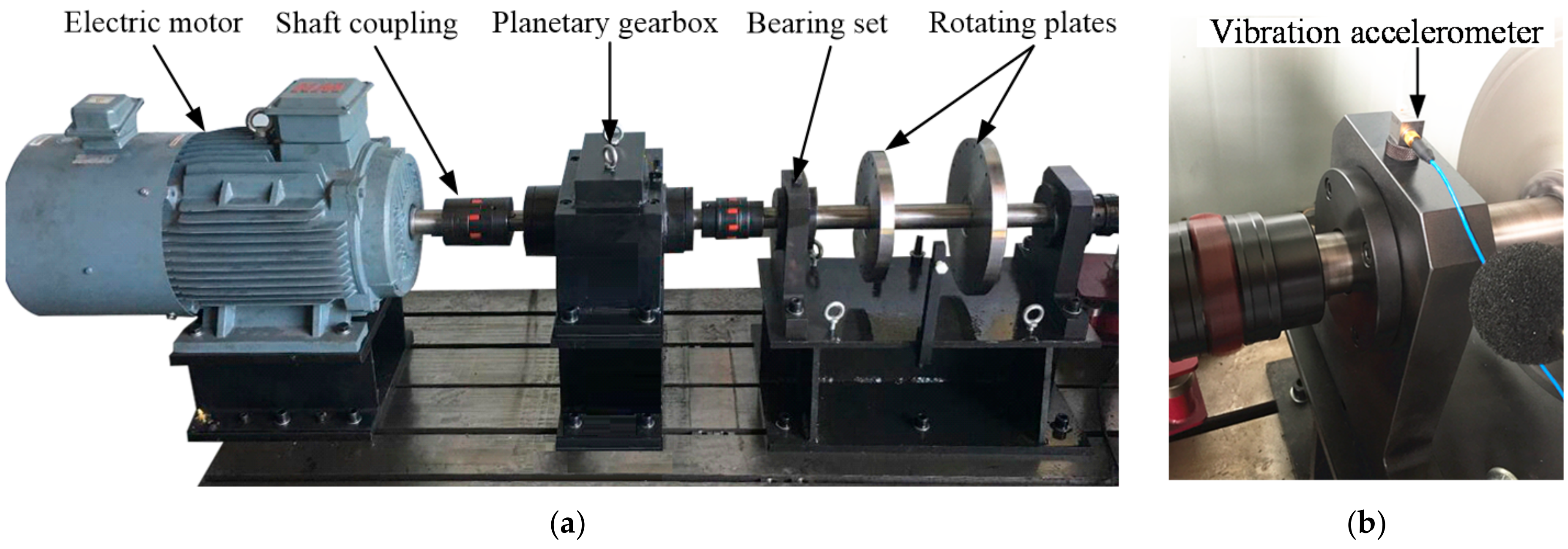 Applsci 11 00919 g002