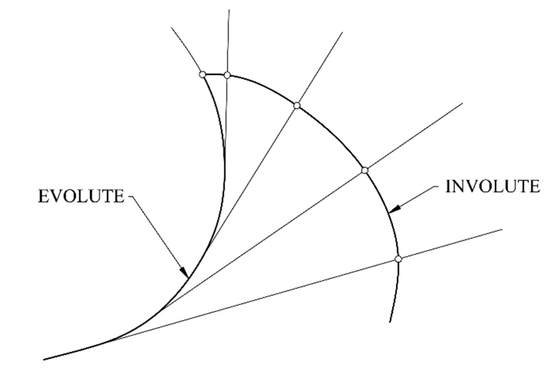 Evolute