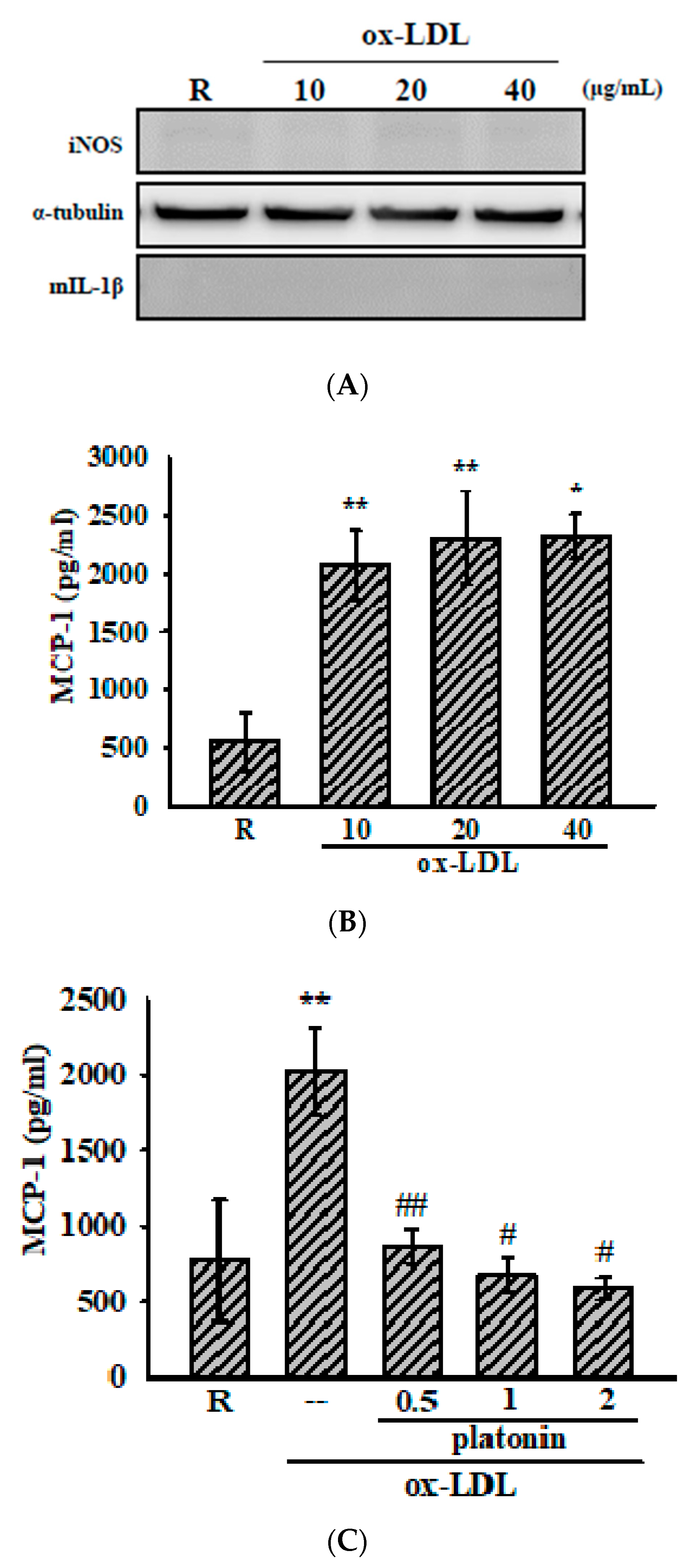 Applsci 11 01130 g002