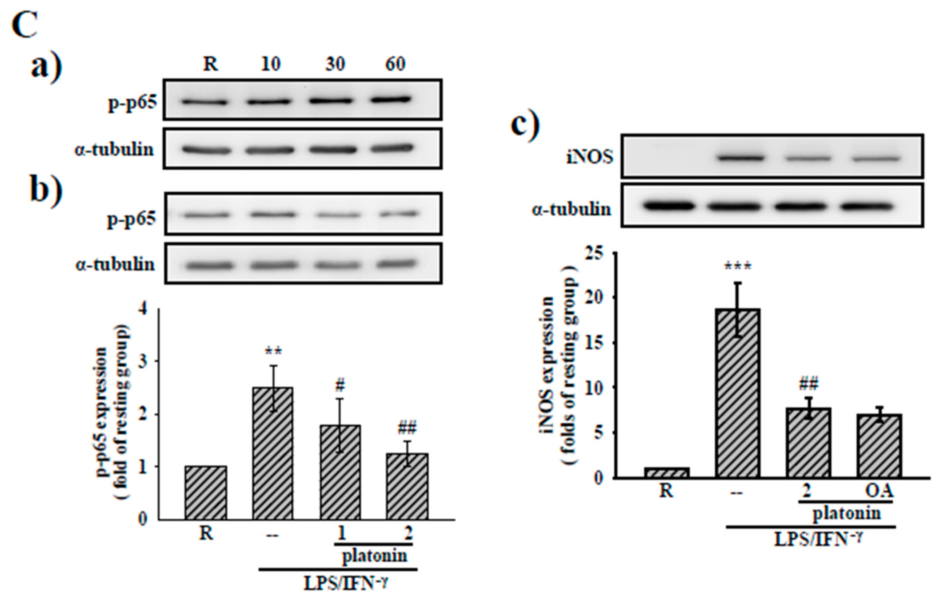 Applsci 11 01130 g003b