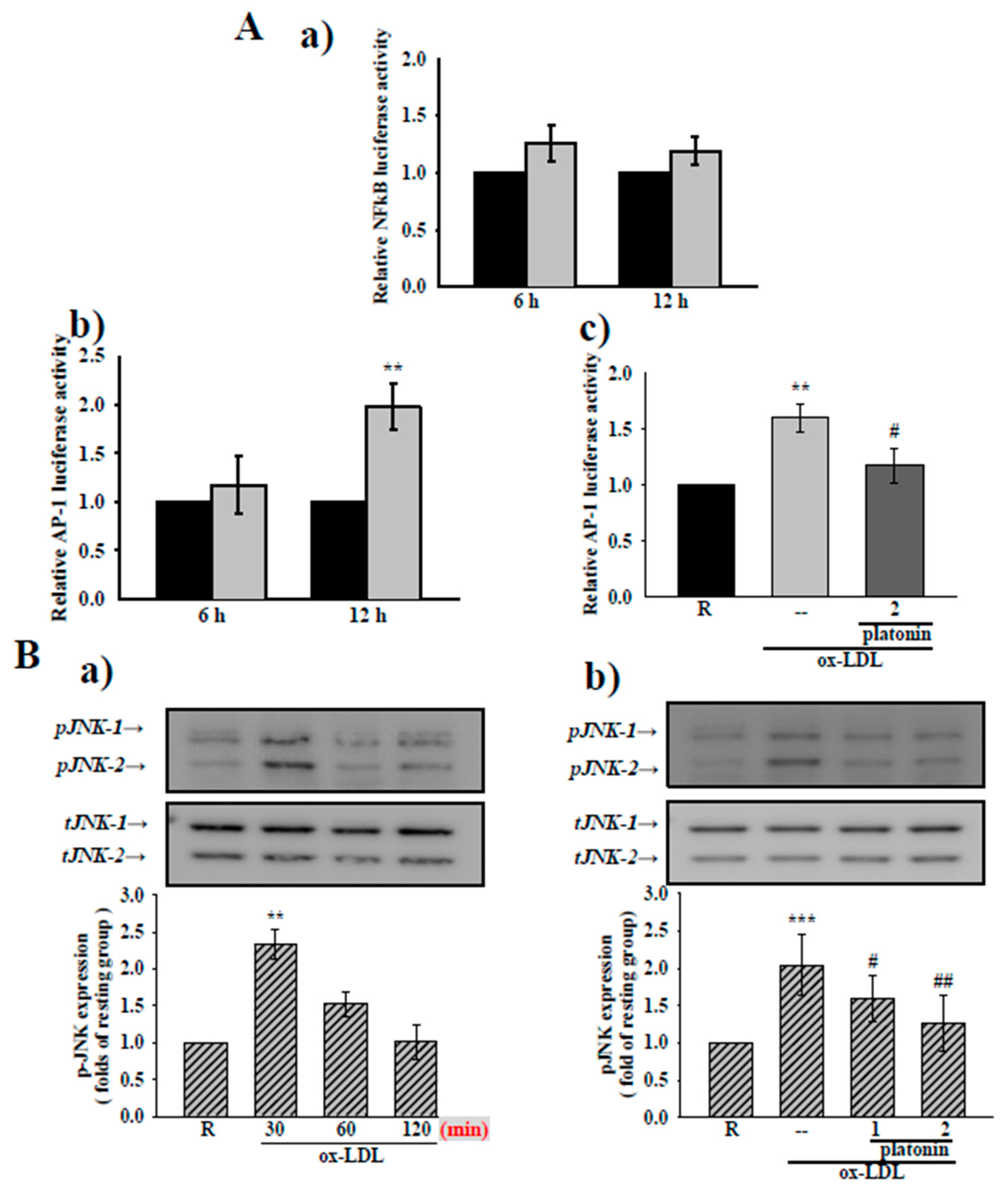 Applsci 11 01130 g004