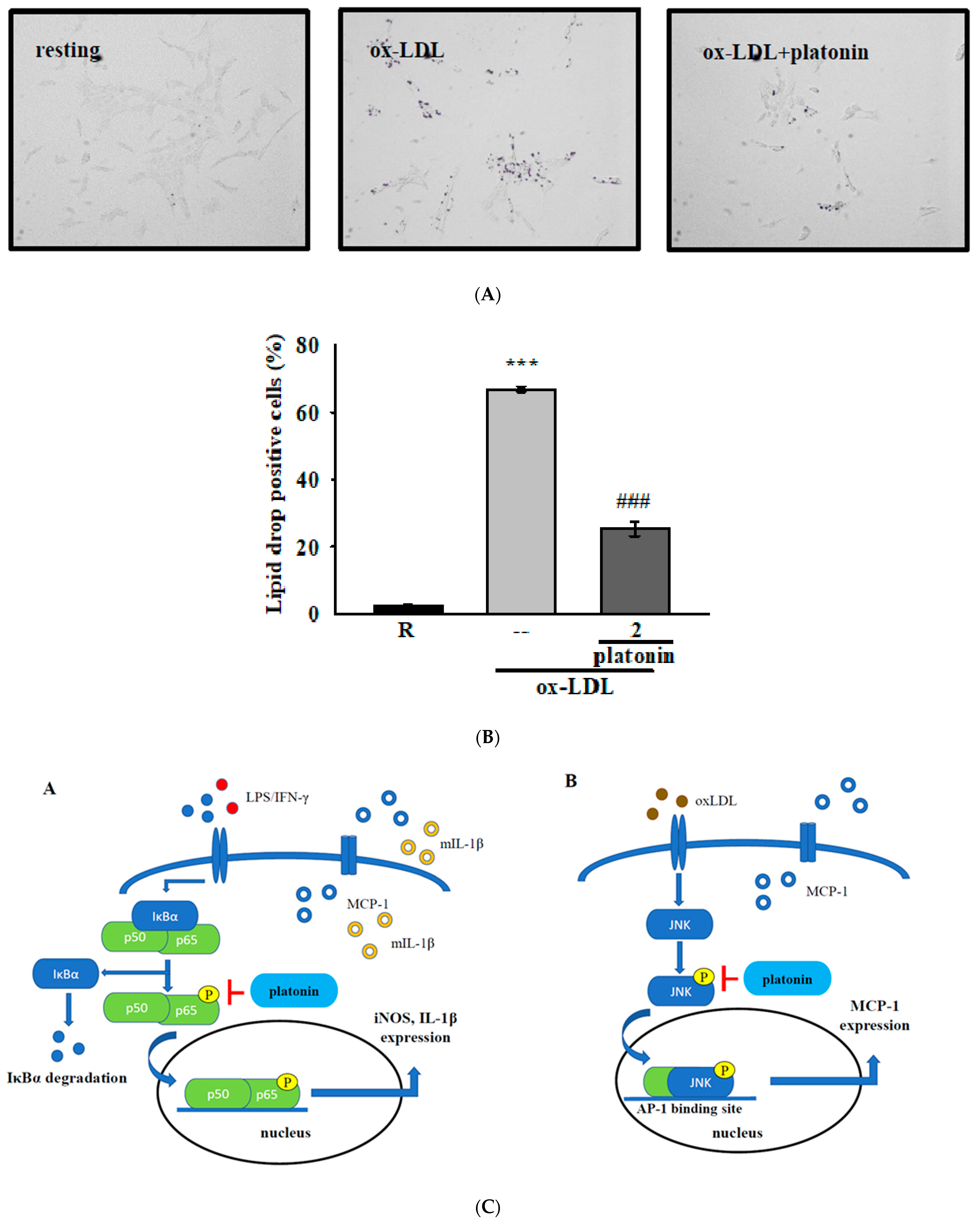 Applsci 11 01130 g005