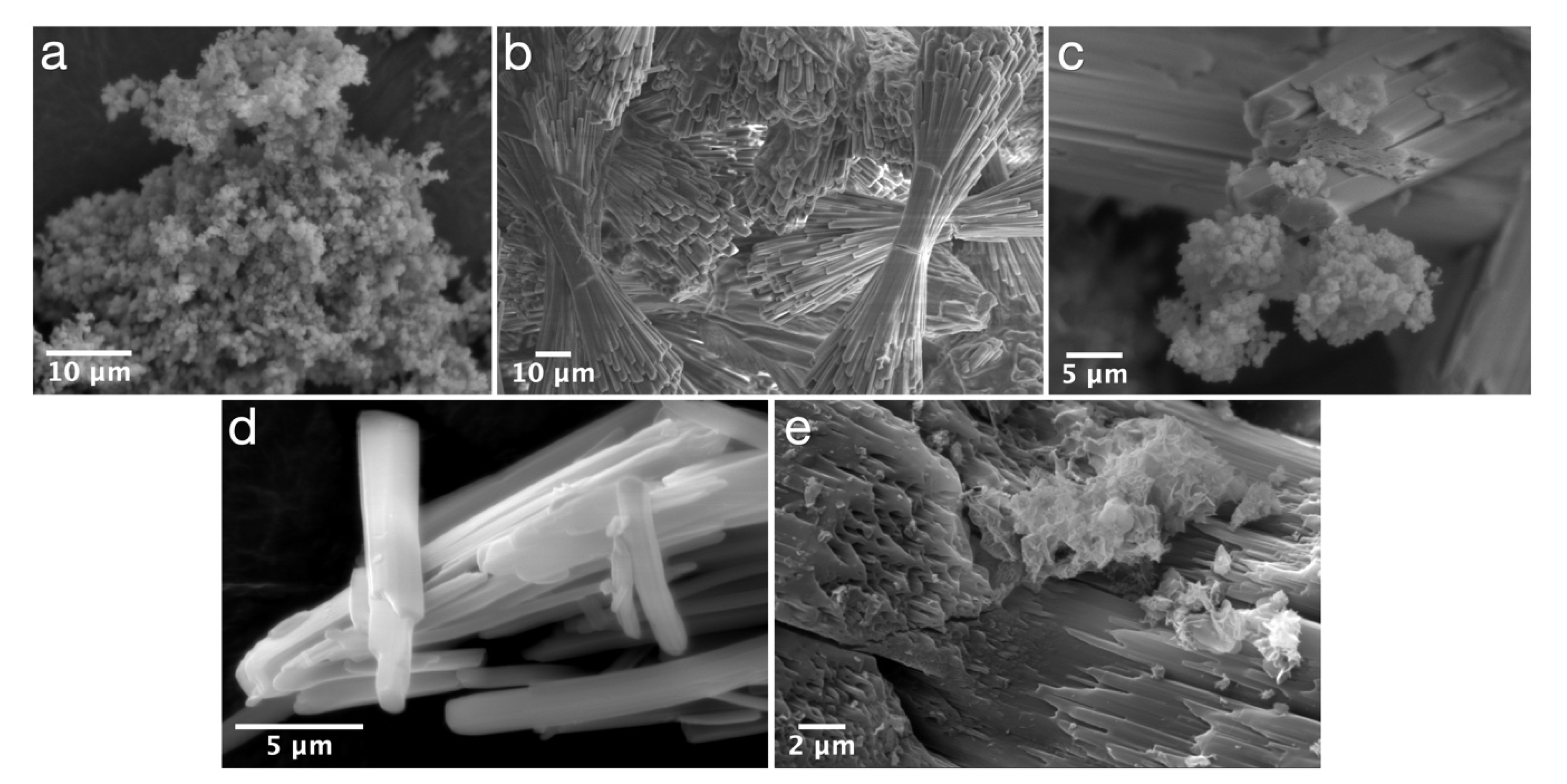 Applsci 11 01141 g002