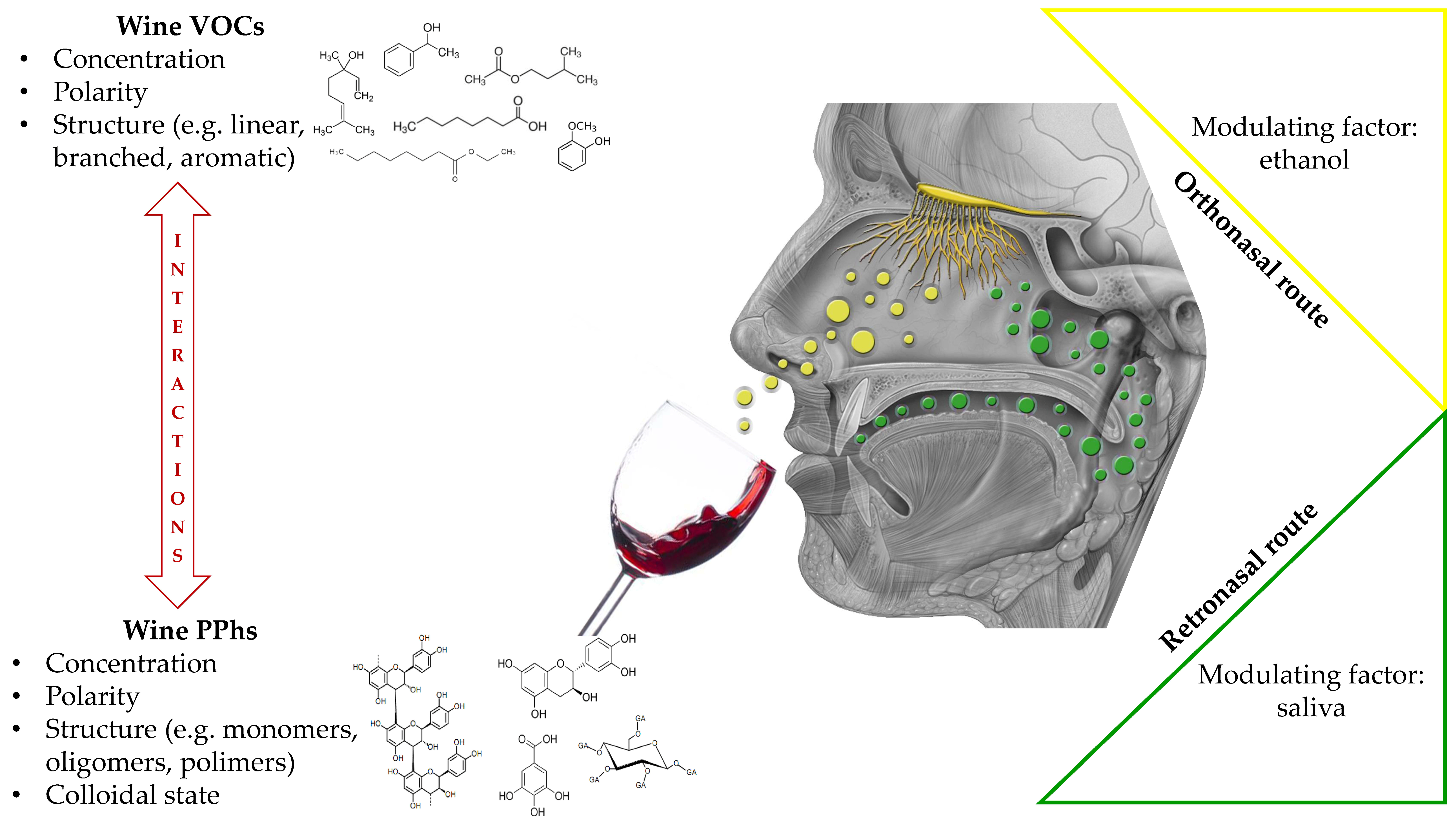 Applsci 11 01157 g002