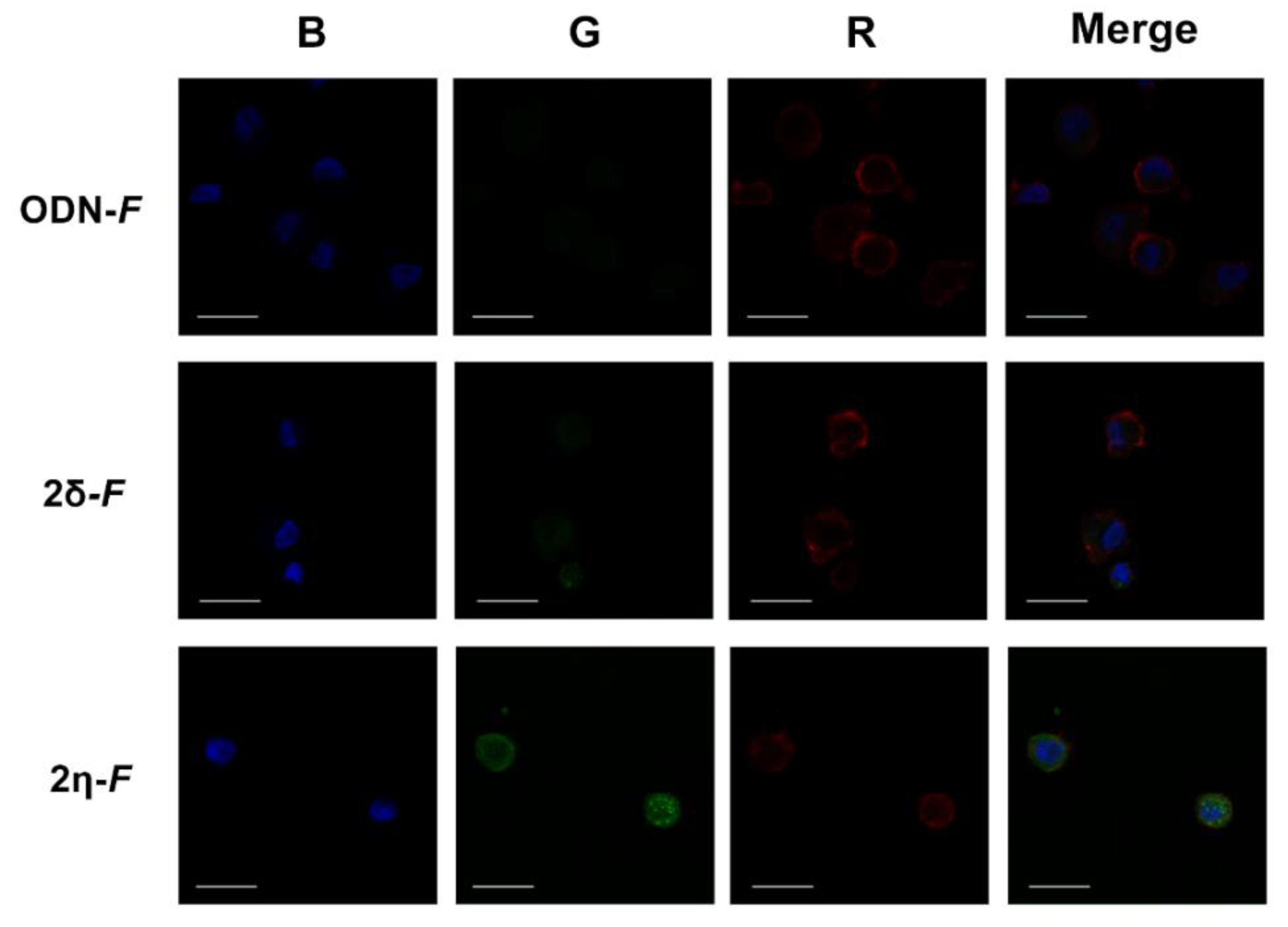 Applsci 11 01174 g007 Applsci 11 01174 g007