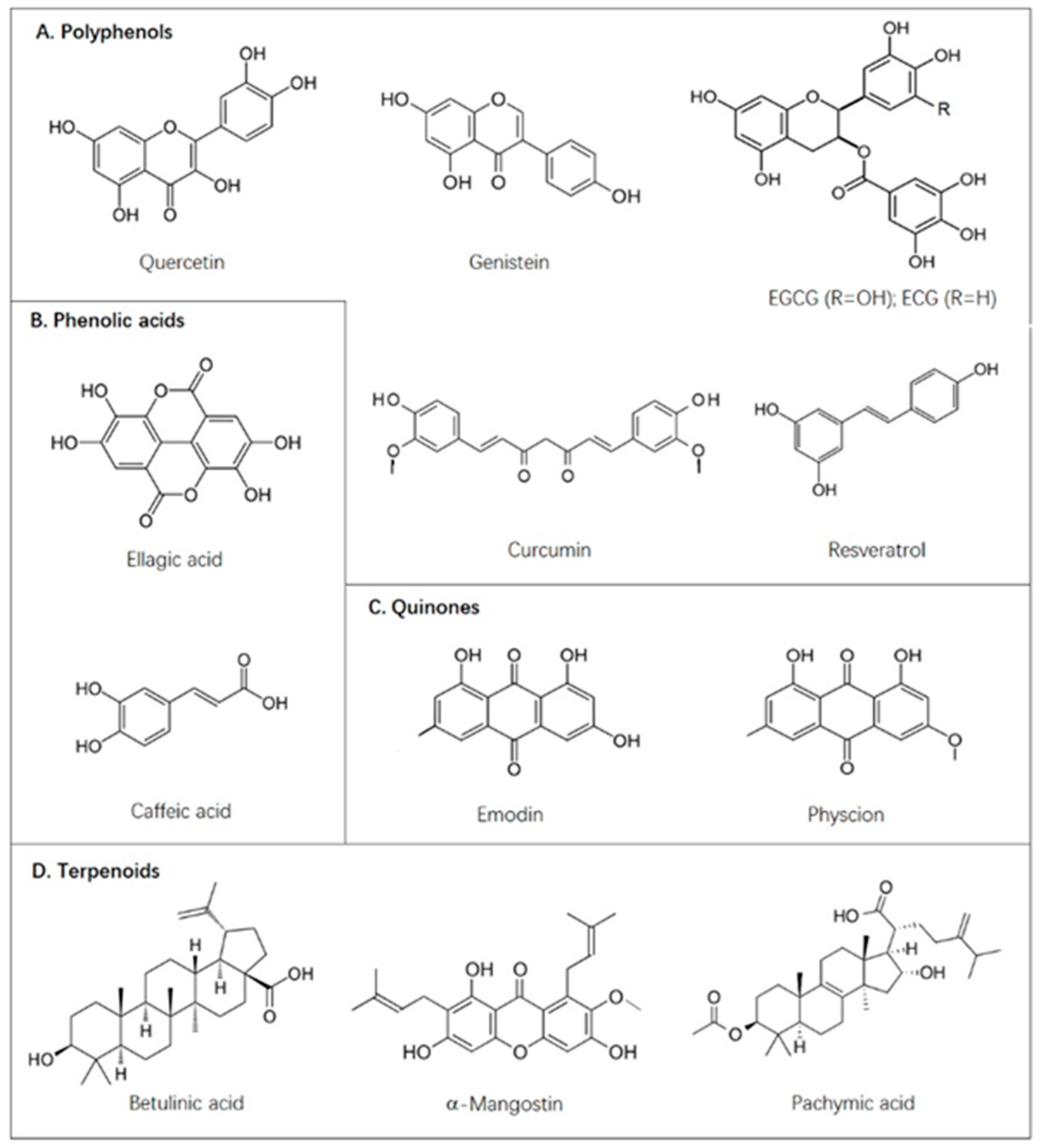 Applsci 11 01259 g002