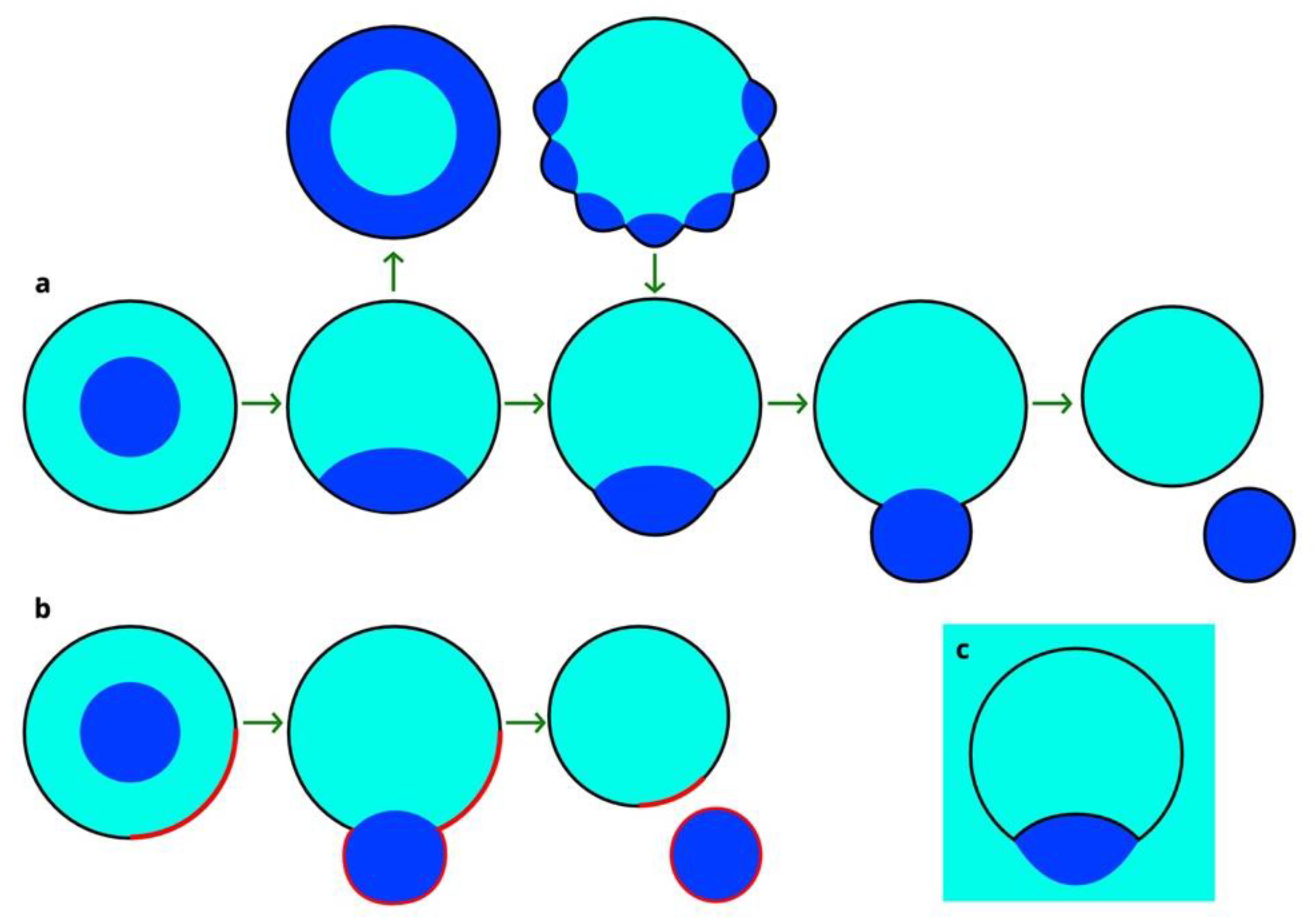 Applsci 11 01288 g002 Applsci 11 01288 g002