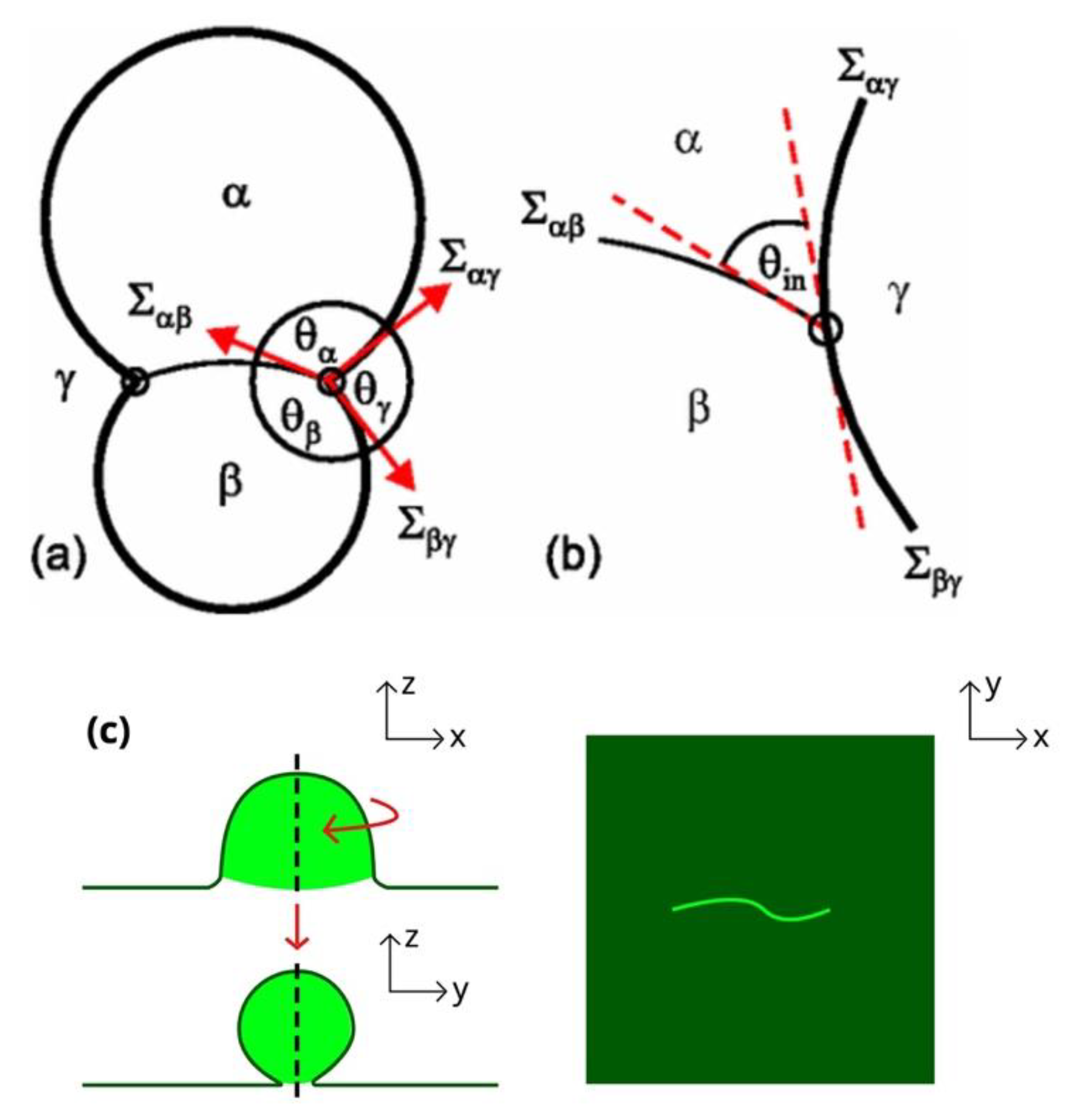 Applsci 11 01288 g003 Applsci 11 01288 g003