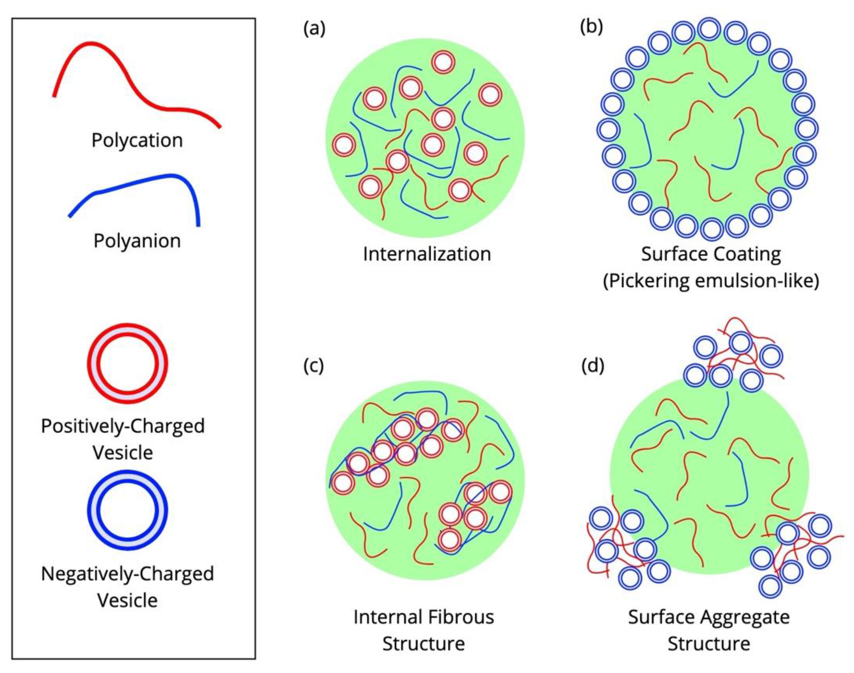 Applsci 11 01288 g004 Applsci 11 01288 g004