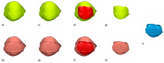 how to draw a rose petal step by step