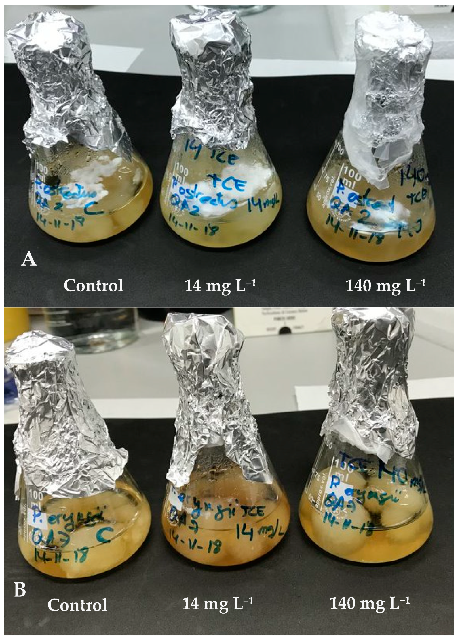 Applied Sciences | Free Full-Text | Mycoremediation of Soils Polluted with  Trichloroethylene: First Evidence of Pleurotus Genus Effectiveness
