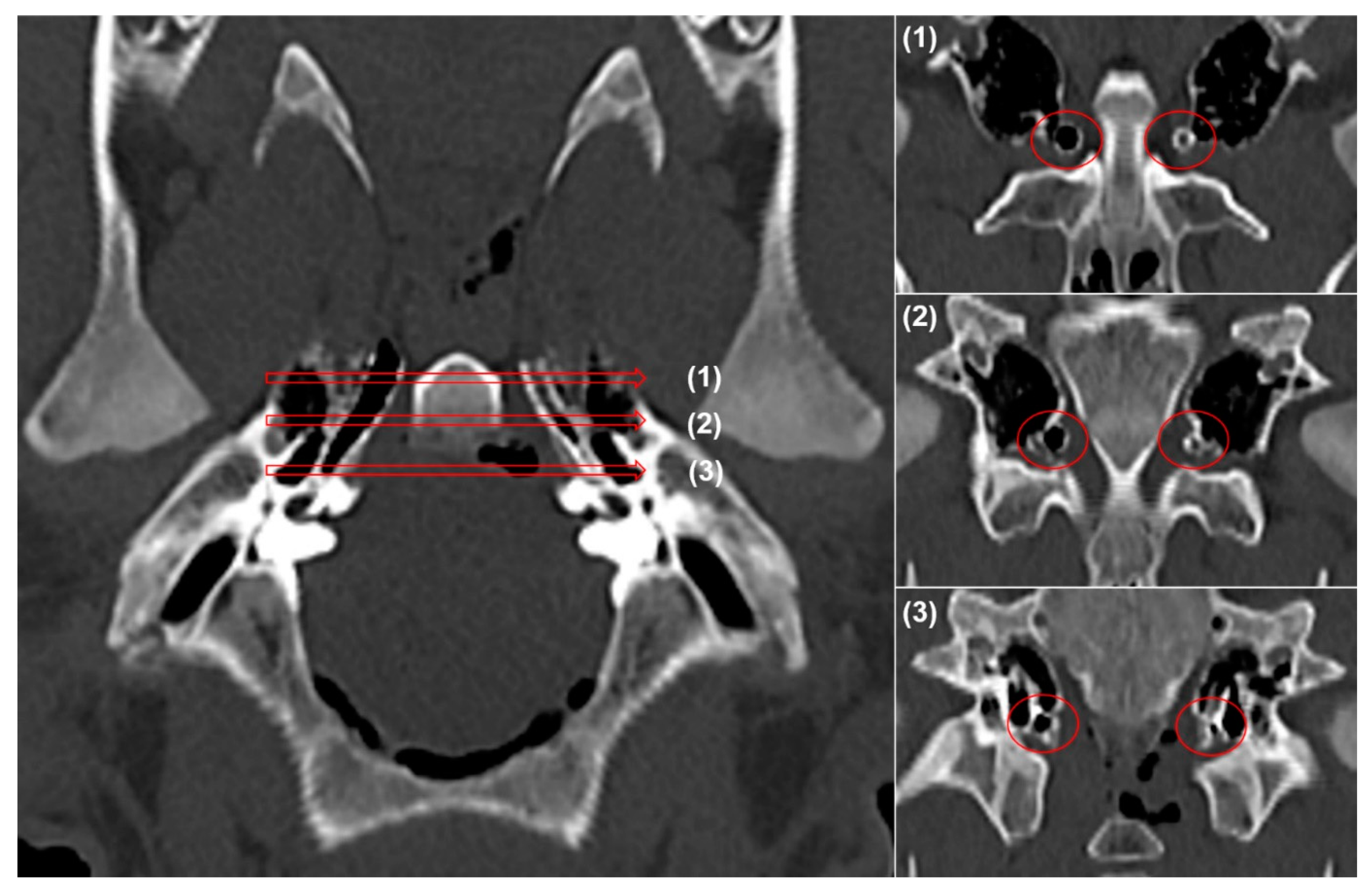 Applsci 11 01359 g003