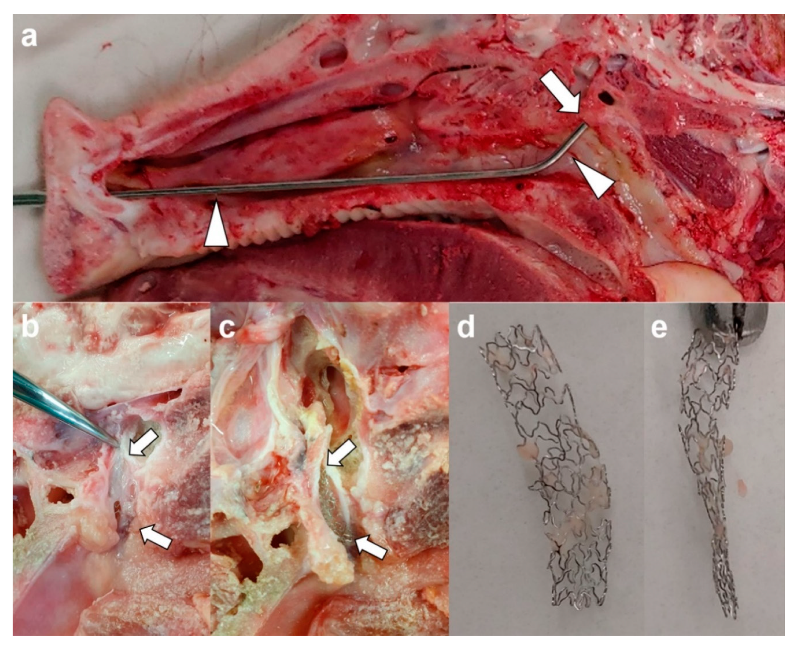 Applsci 11 01359 g004